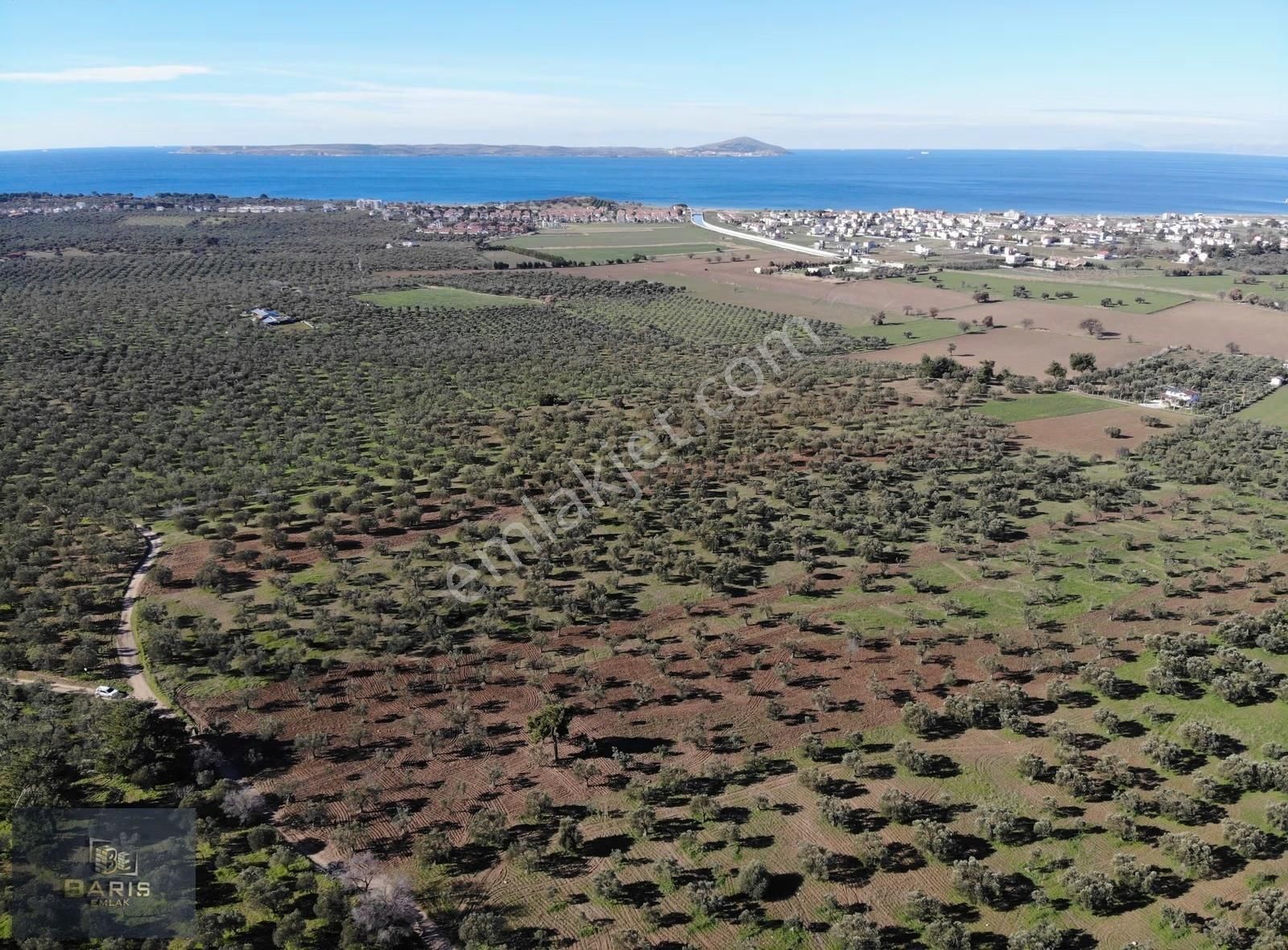 Çanakkale Geyikli Hürriyet Mahallesinde Satlık Kupon Zeytinlik - Görsel 9