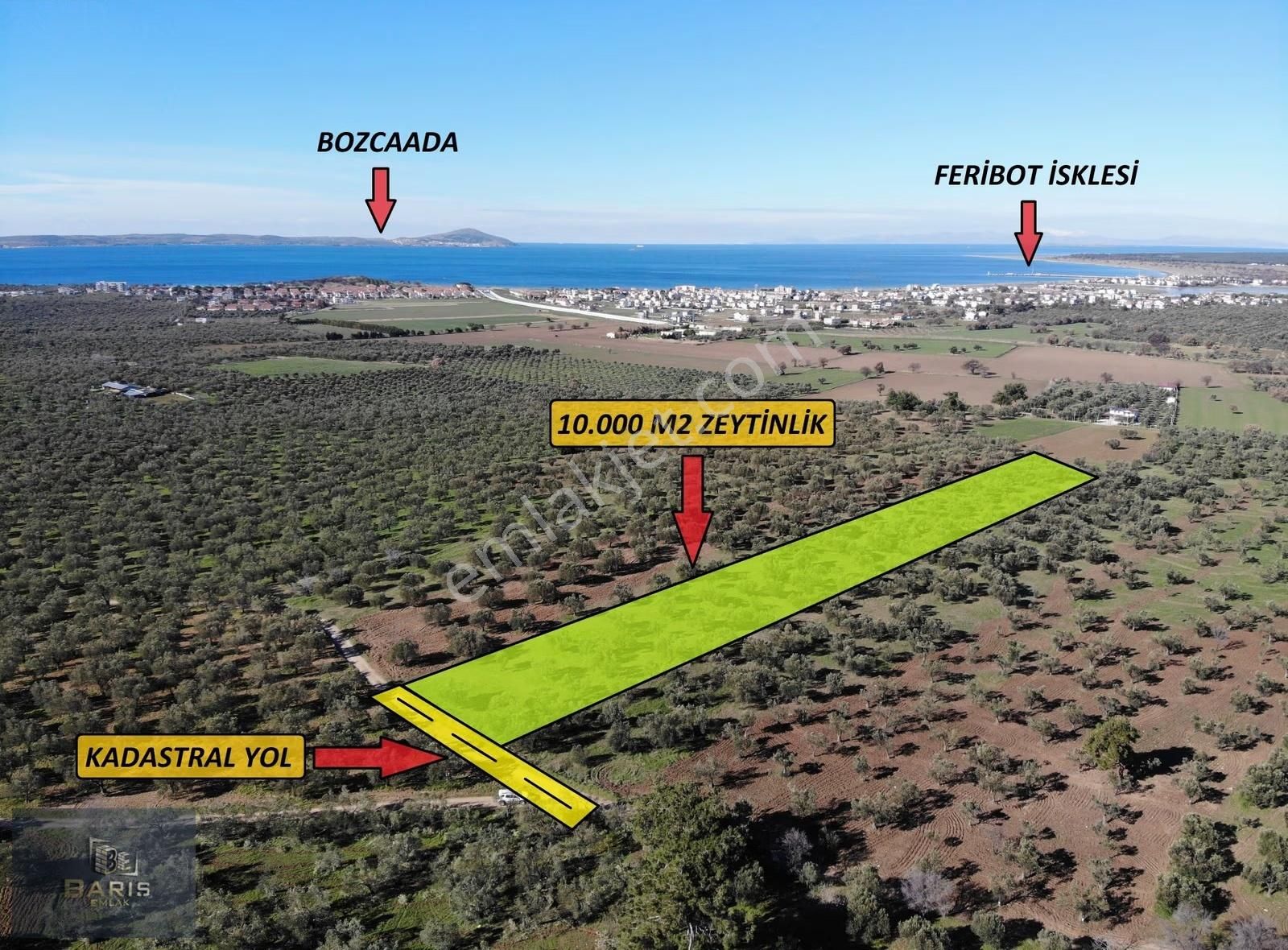 Çanakkale Geyikli Hürriyet Mahallesinde Satlık Kupon Zeytinlik - Görsel 7