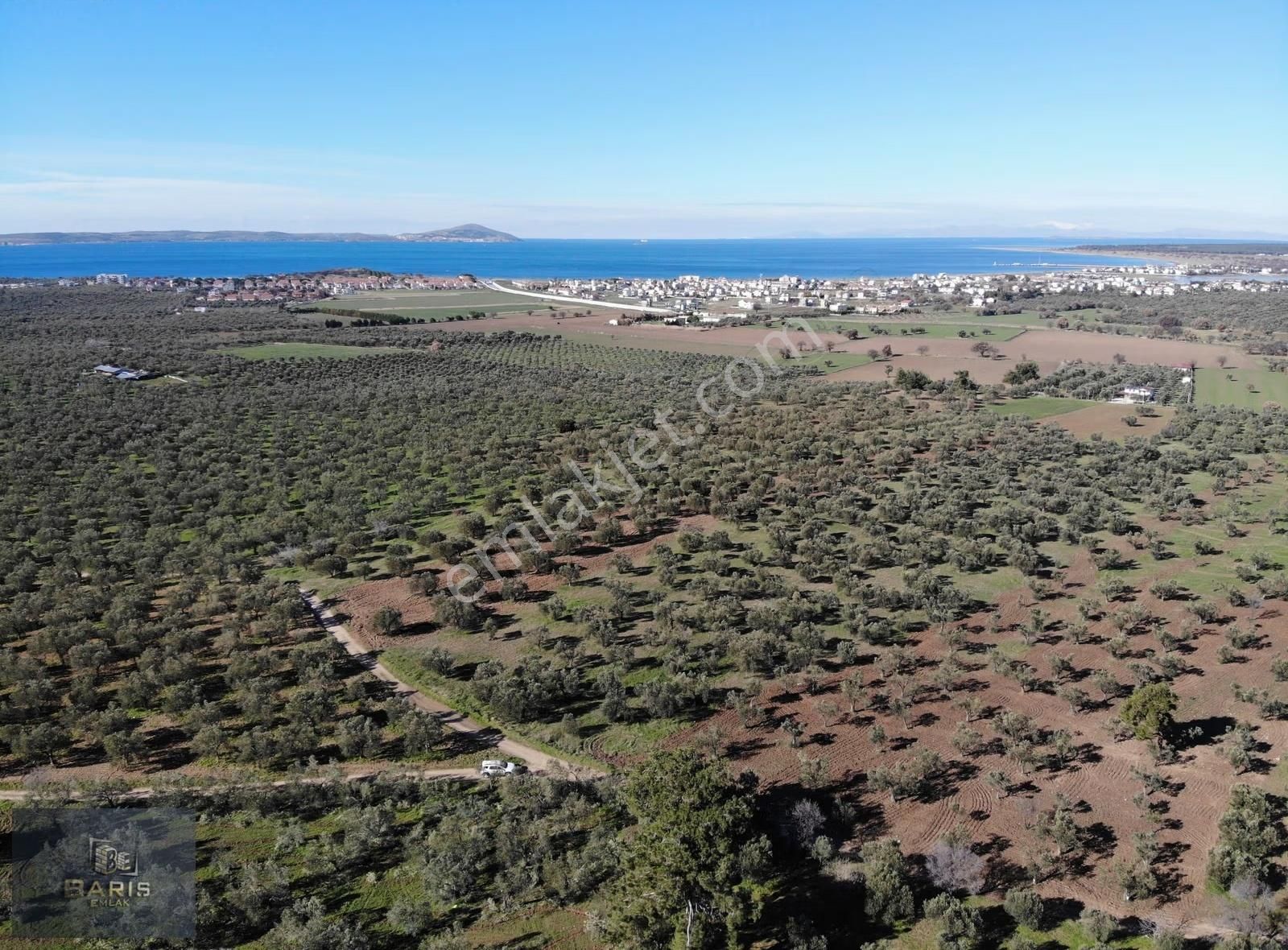 Çanakkale Geyikli Hürriyet Mahallesinde Satlık Kupon Zeytinlik - Görsel 23