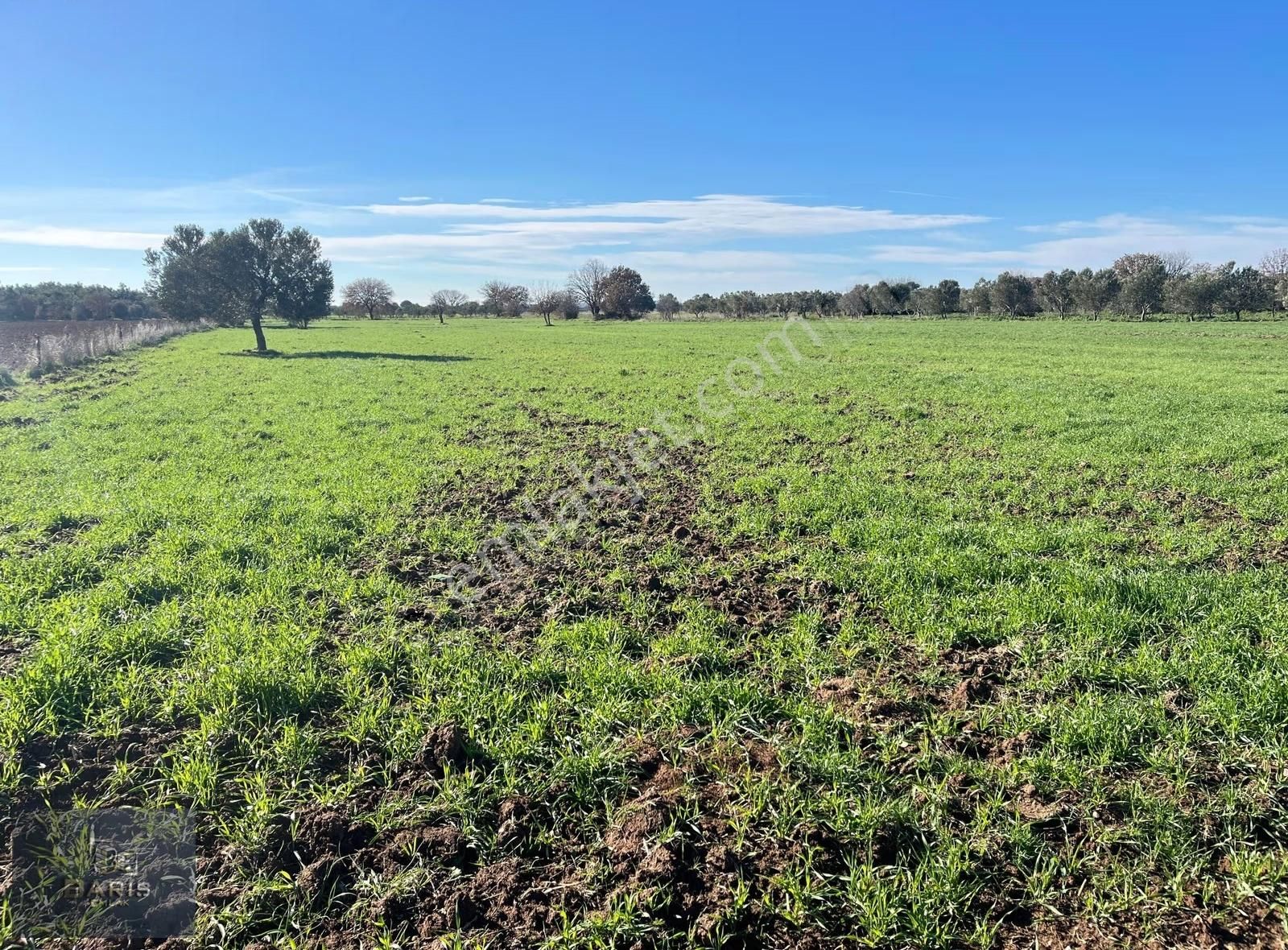 Çanakkale Geyikli Çamoba Köyünde Satılık Tarla - Görsel 7