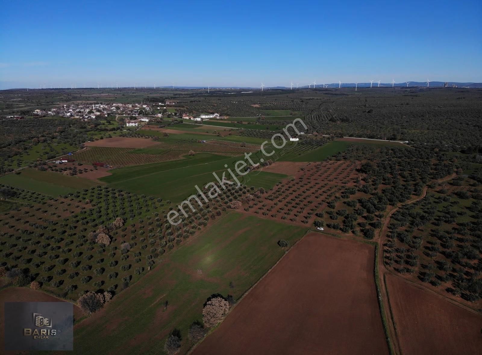 Çanakkale Geyikli Çamoba Köyünde Satılık Tarla - Görsel 12