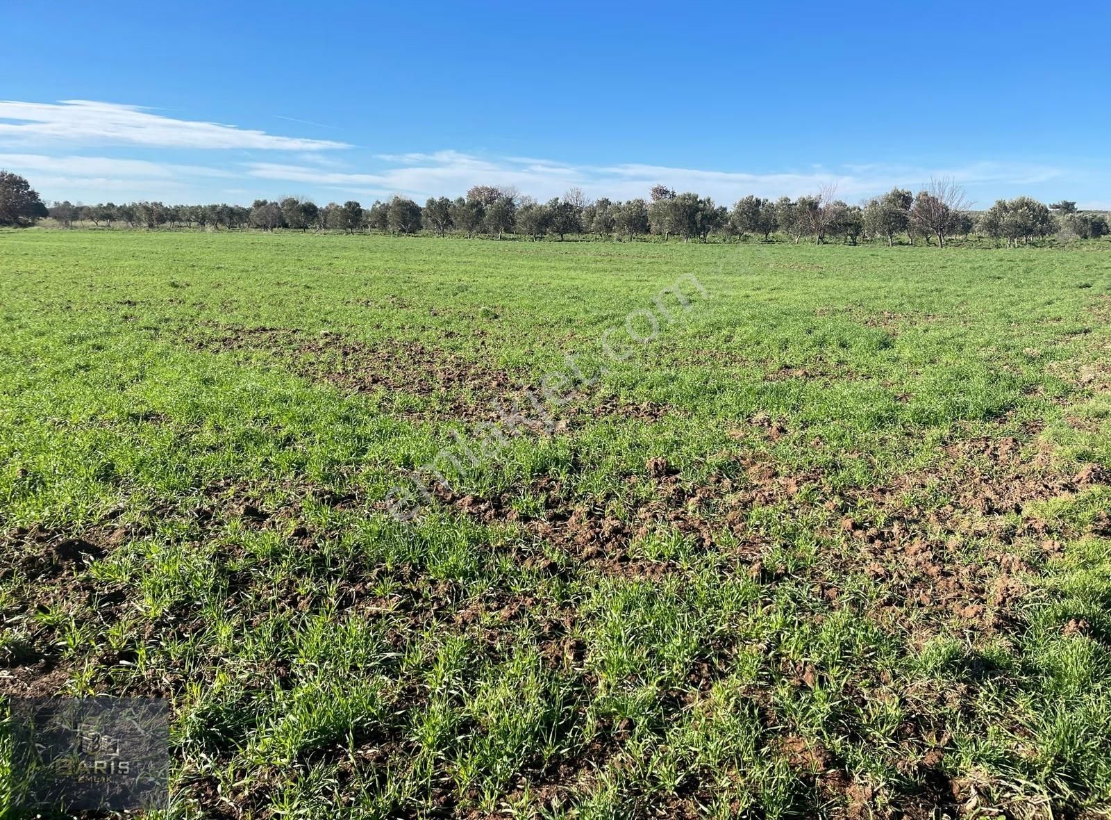 Çanakkale Geyikli Çamoba Köyünde Satılık Tarla - Görsel 15