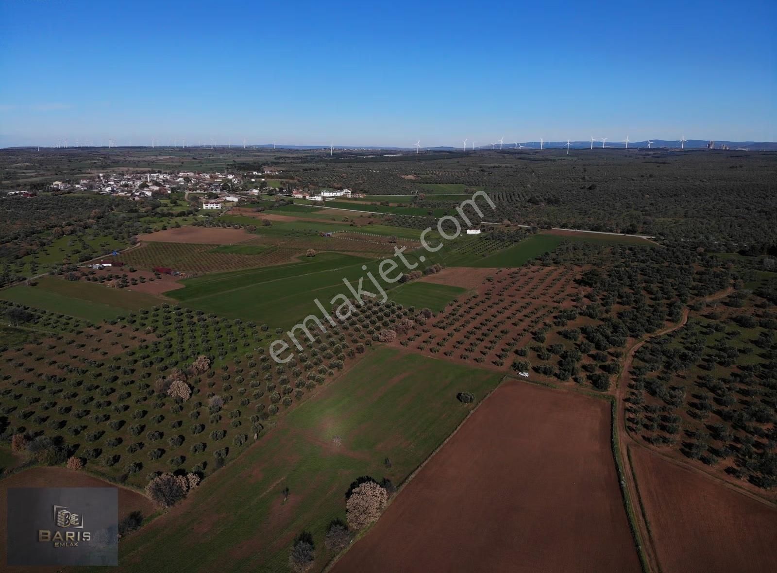 Çanakkale Geyikli Çamoba Köyünde Satılık Tarla - Görsel 8