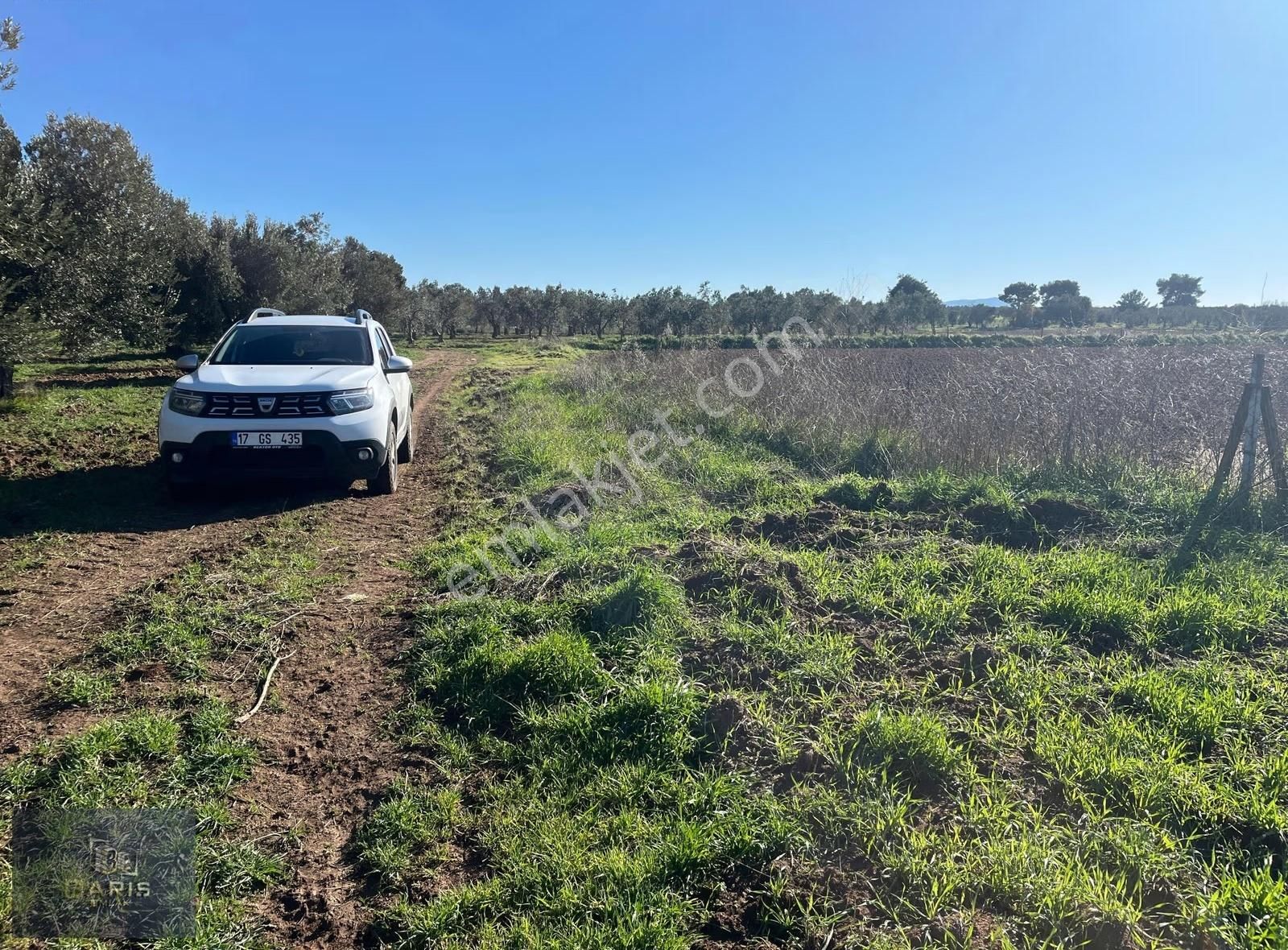 Çanakkale Geyikli Çamoba Köyünde Satılık Tarla - Görsel 9