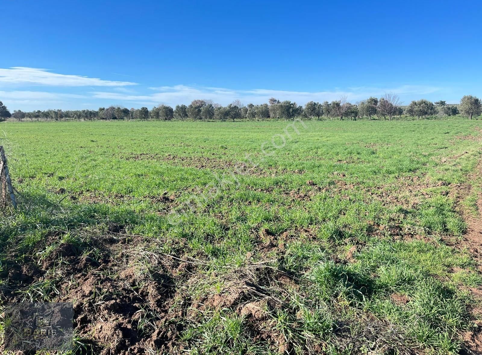 Çanakkale Geyikli Çamoba Köyünde Satılık Tarla - Görsel 16