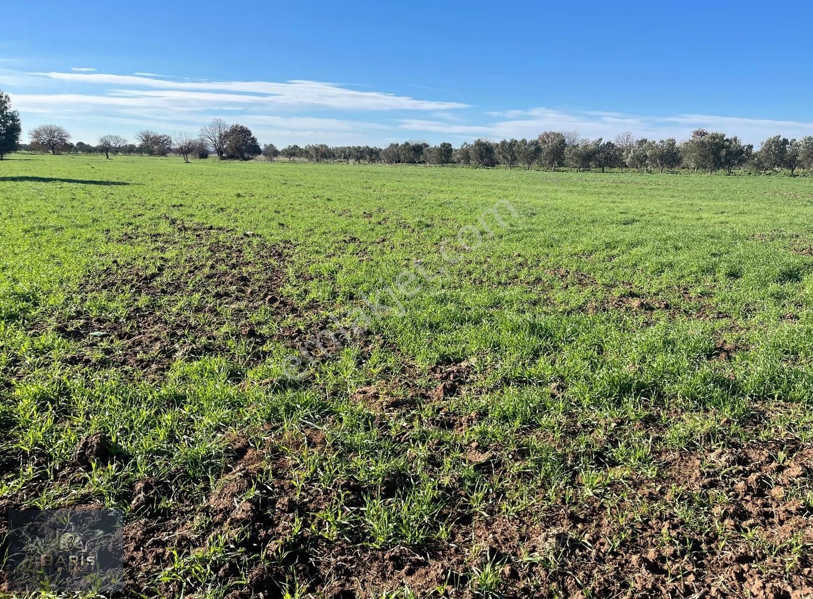 Çanakkale Geyikli Çamoba Köyünde Satılık Tarla - Görsel 14