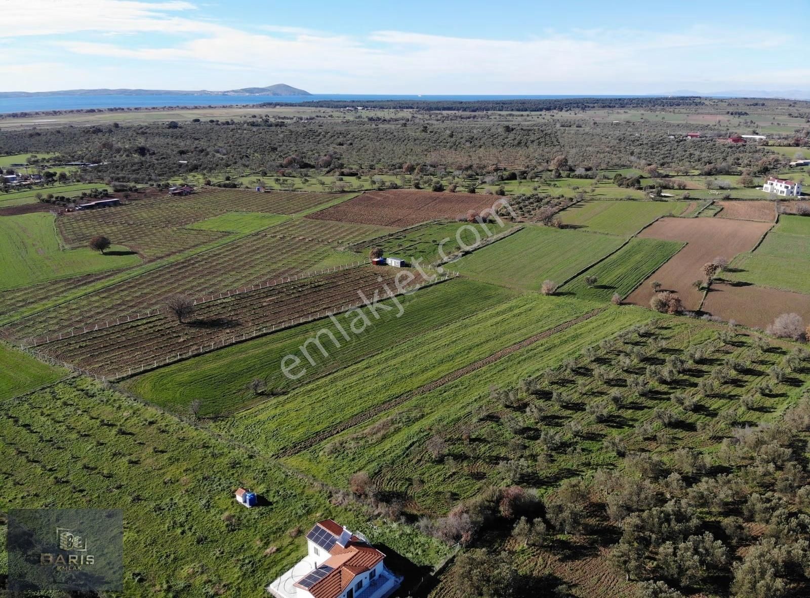 Çanakkale Ezine Geyikli Çamoba Köyünde Satılık Tarla - Görsel 9