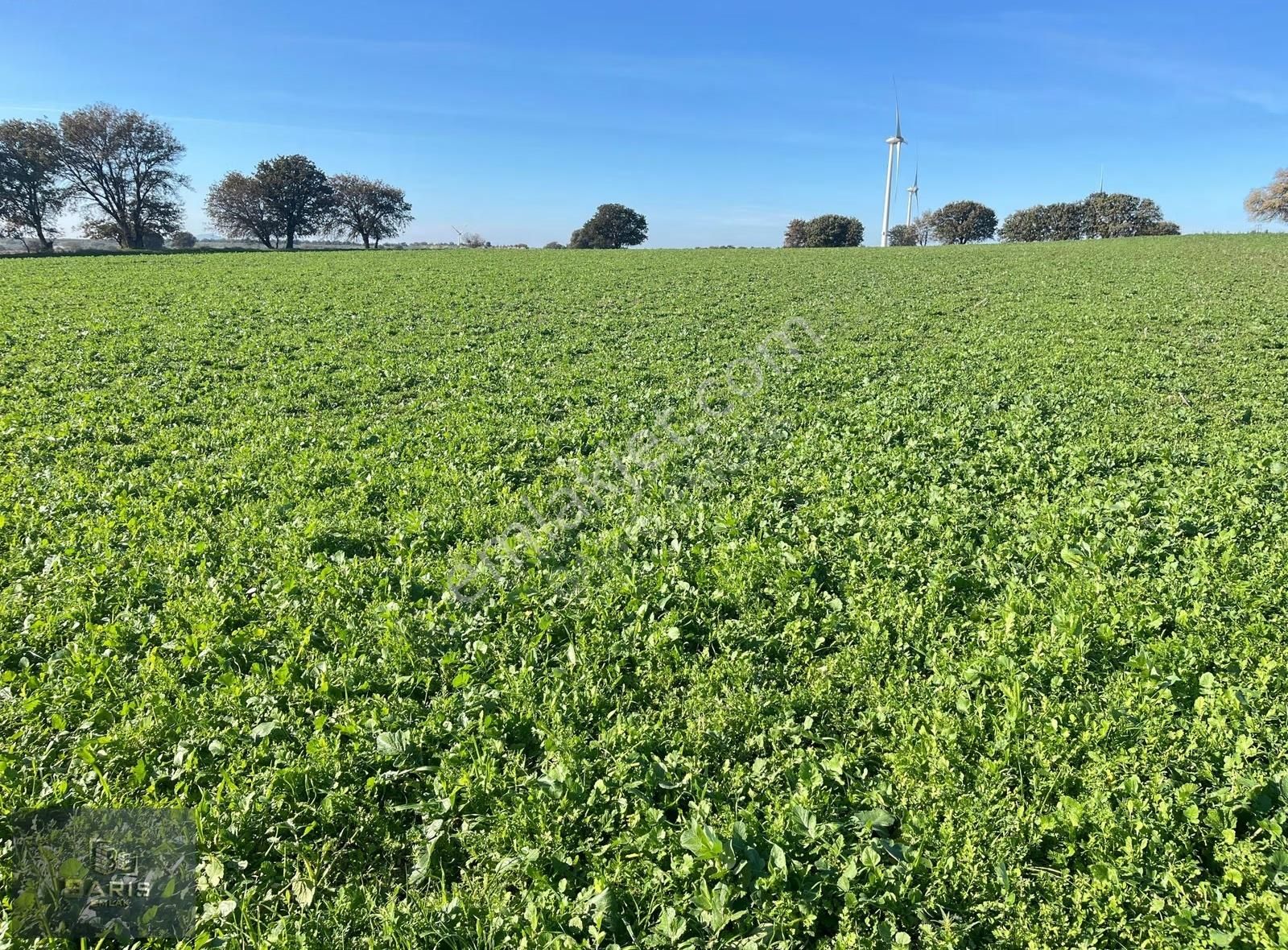 Çanakkale Ezine Üvecik Köyünde Satılık Tarla - Görsel 4