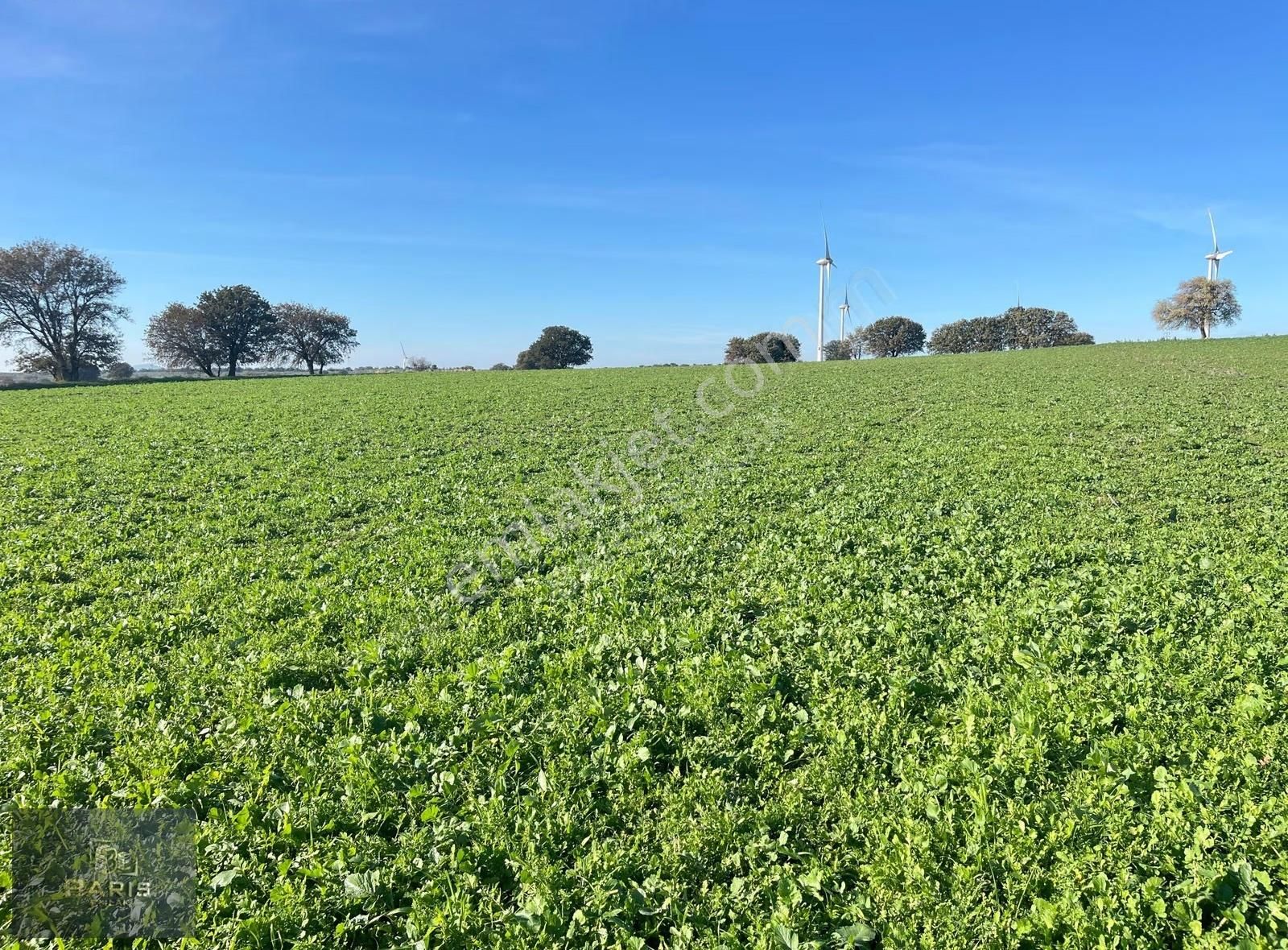 Çanakkale Ezine Üvecik Köyünde Satılık Tarla - Görsel 20