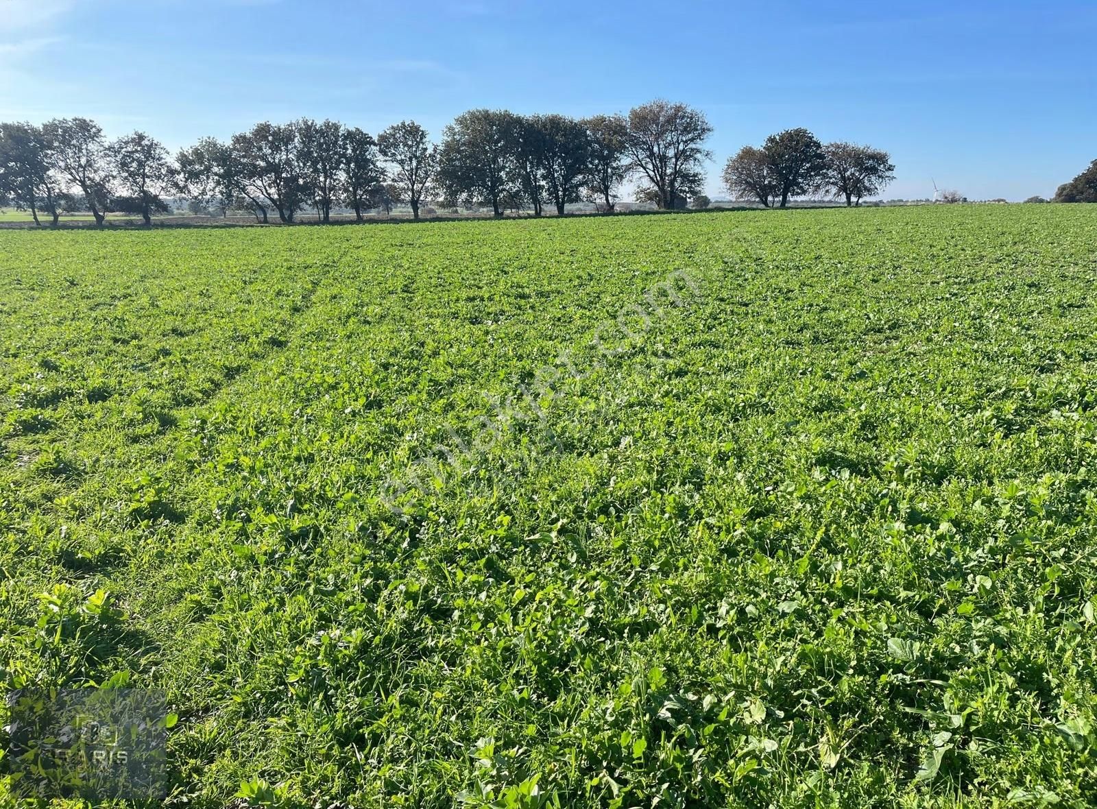 Çanakkale Ezine Üvecik Köyünde Satılık Tarla - Görsel 13