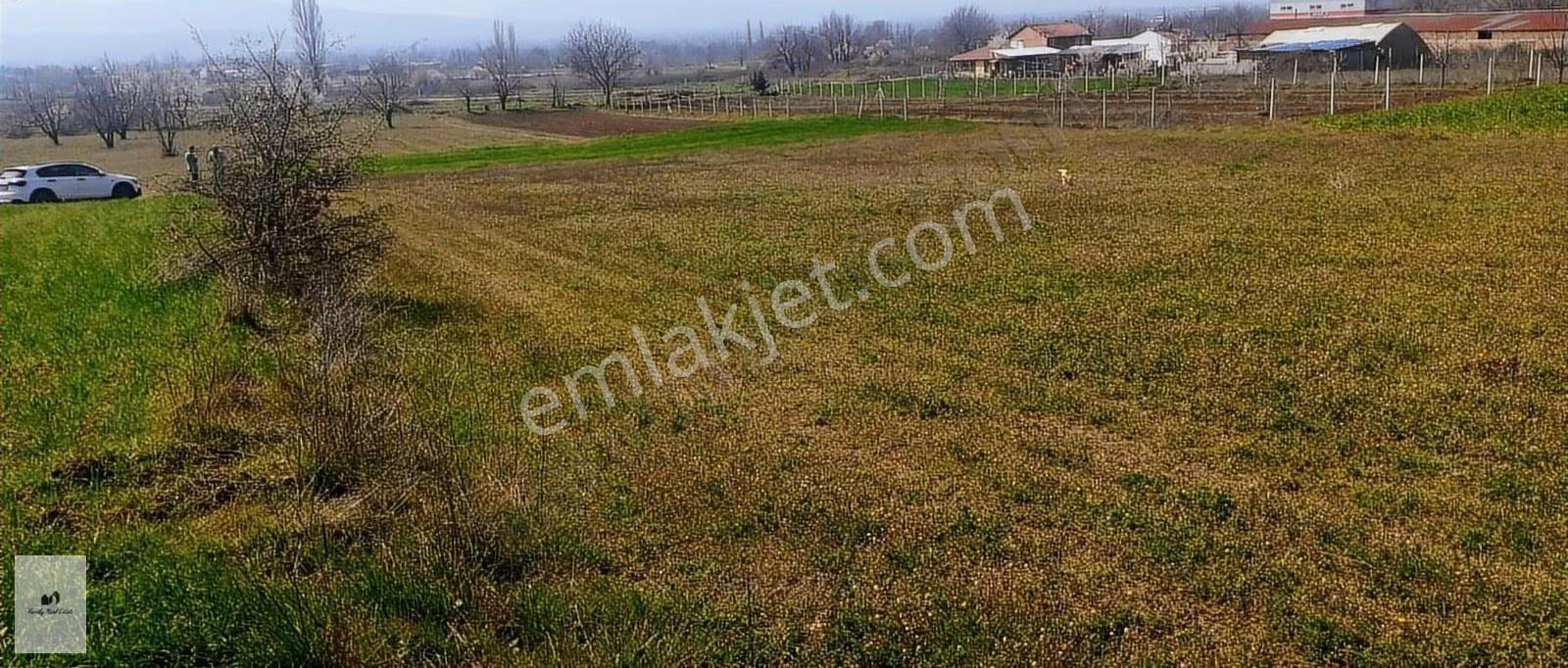 Bursa İnegöl Küçükyenice'de İmara Yakın Satılık Tarla - Görsel 2