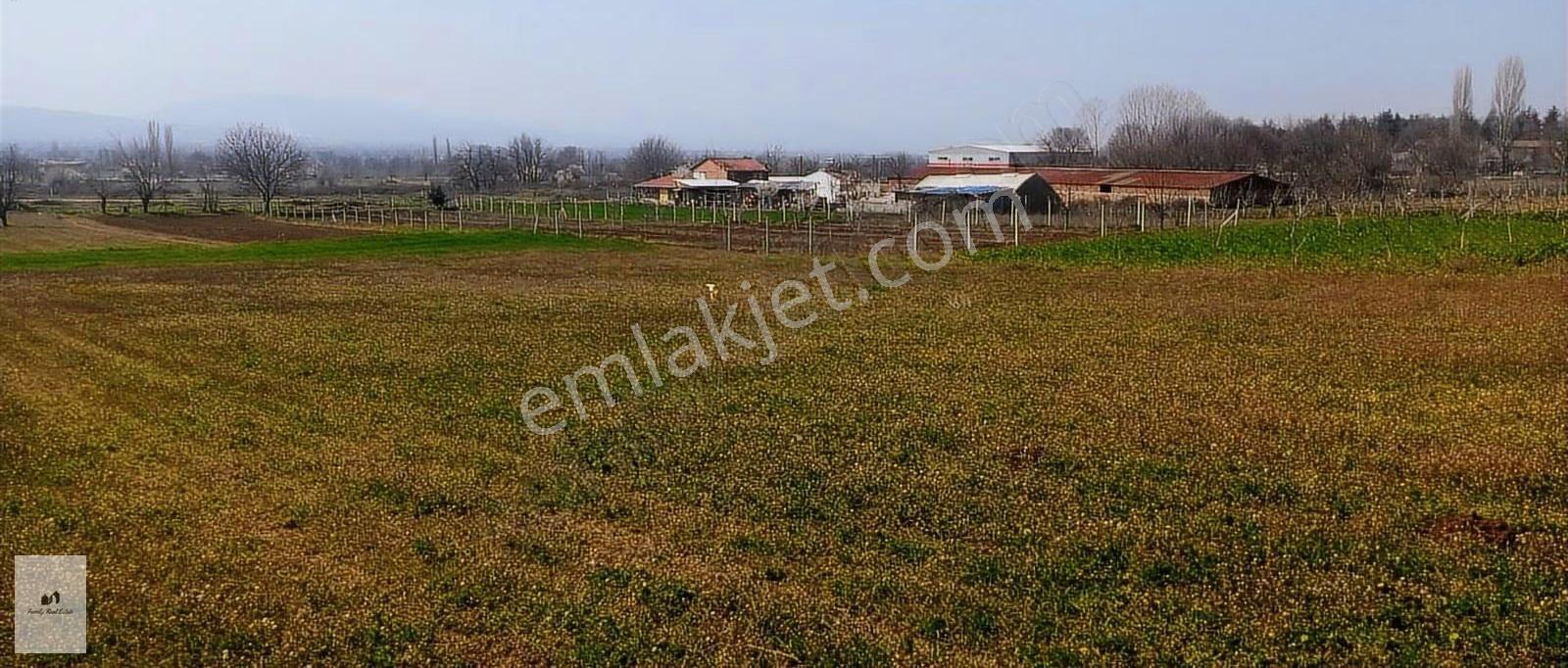 Bursa İnegöl Küçükyenice'de İmara Yakın Satılık Tarla - Görsel 4