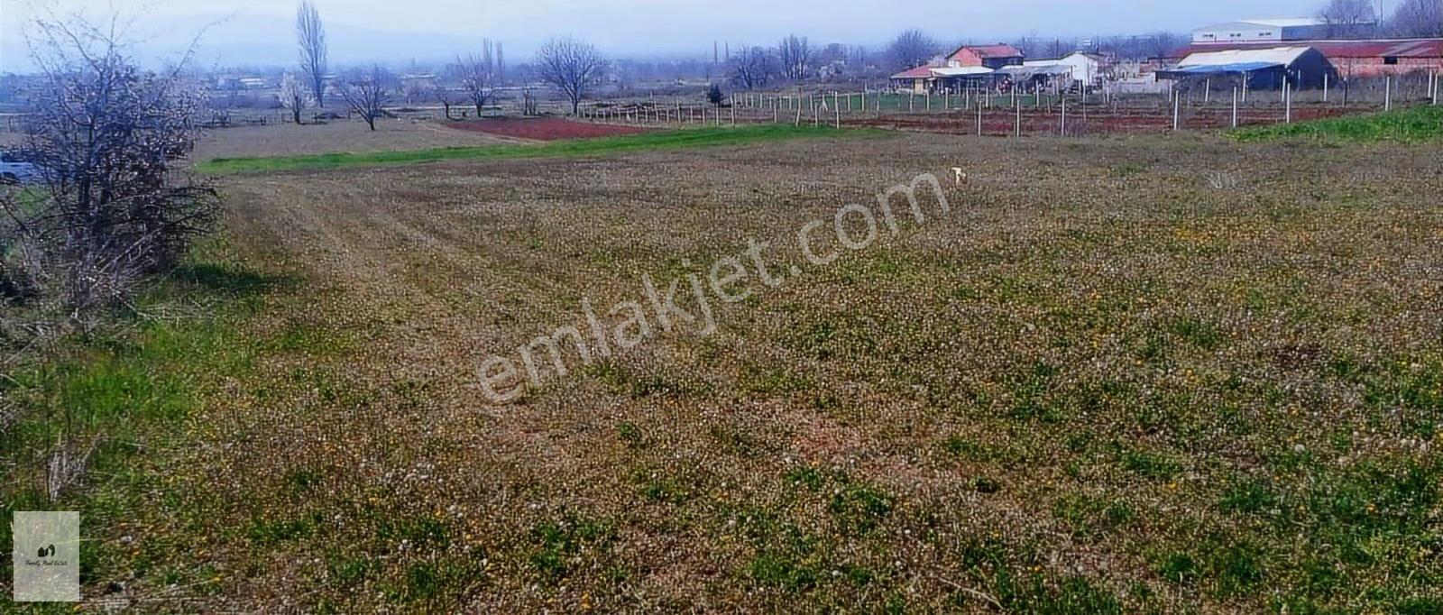 Bursa İnegöl Küçükyenice'de İmara Yakın Satılık Tarla - Görsel 3
