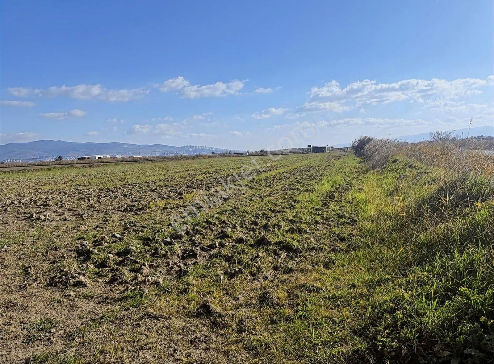 Menemen Seyrekte Yola Cephe | Merkeze 1,5 Km | Satılık Tarla - Görsel 2