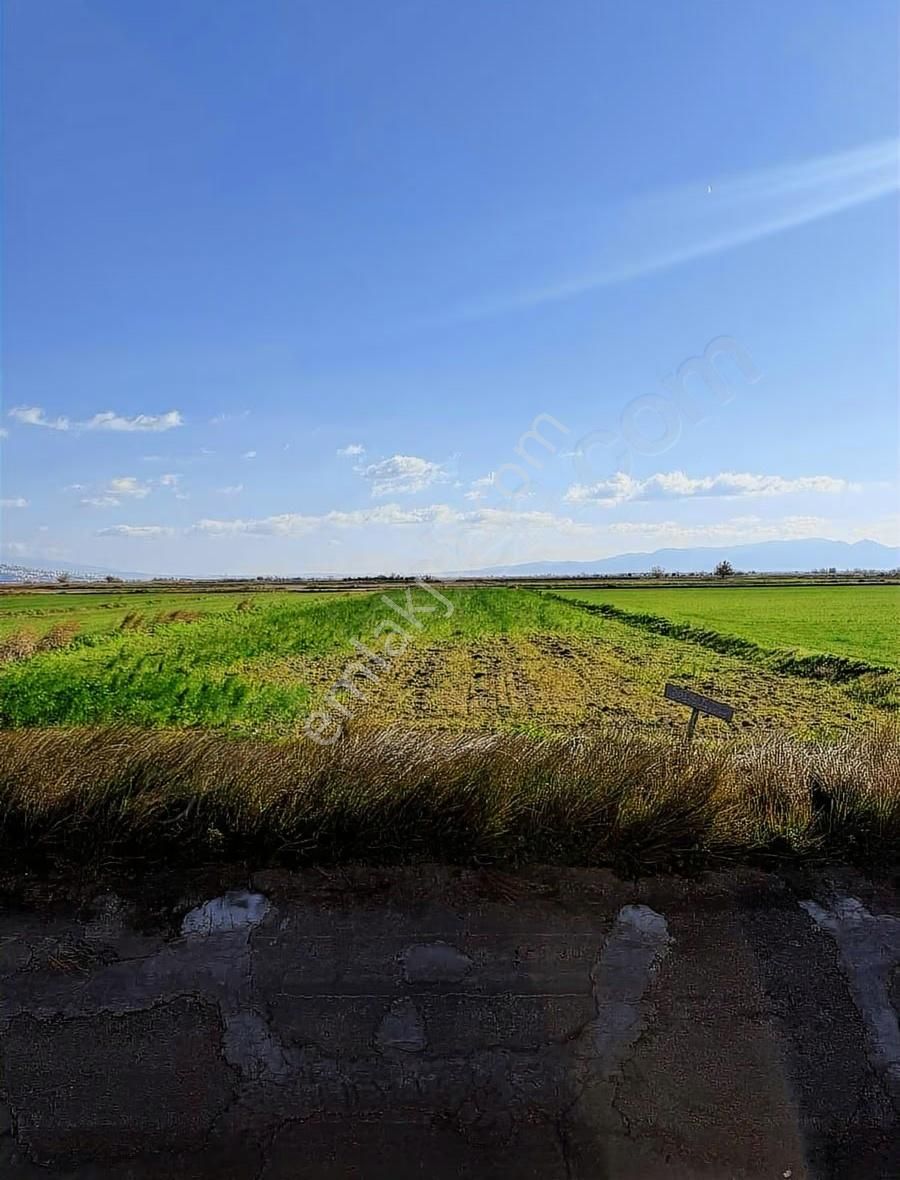 Menemen Seyrekte Yola Cephe | Merkeze 1,5 Km | Satılık Tarla - Görsel 8