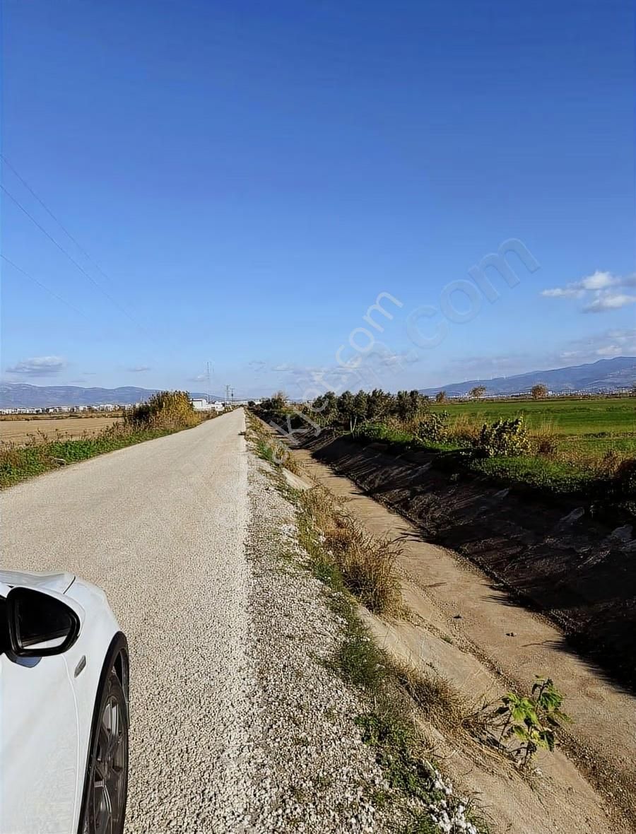 Menemen Seyrekte Yola Cephe | Merkeze 1,5 Km | Satılık Tarla