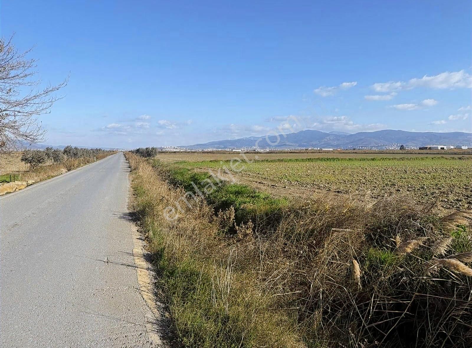 Menemen Seyrekte Yola Cephe | Merkeze 1,5 Km | Satılık Tarla - Görsel 4
