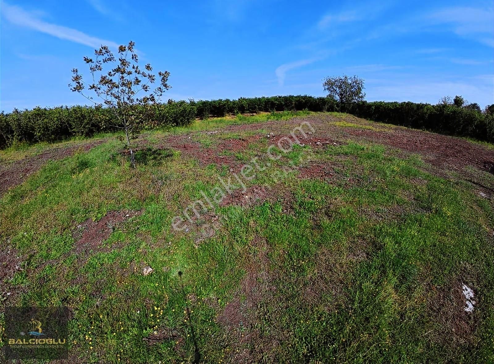 Balcıoğlundan Satılk Merkze 5 Dak Mfs. Deniz Manzrlı İmarlı Arsa - Görsel 9