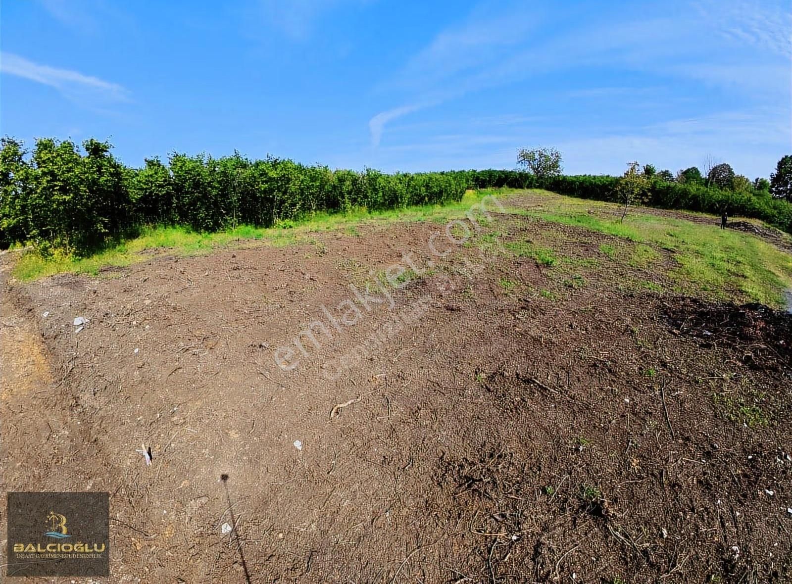 Balcıoğlundan Satılk Merkze 5 Dak Mfs. Deniz Manzrlı İmarlı Arsa - Görsel 2