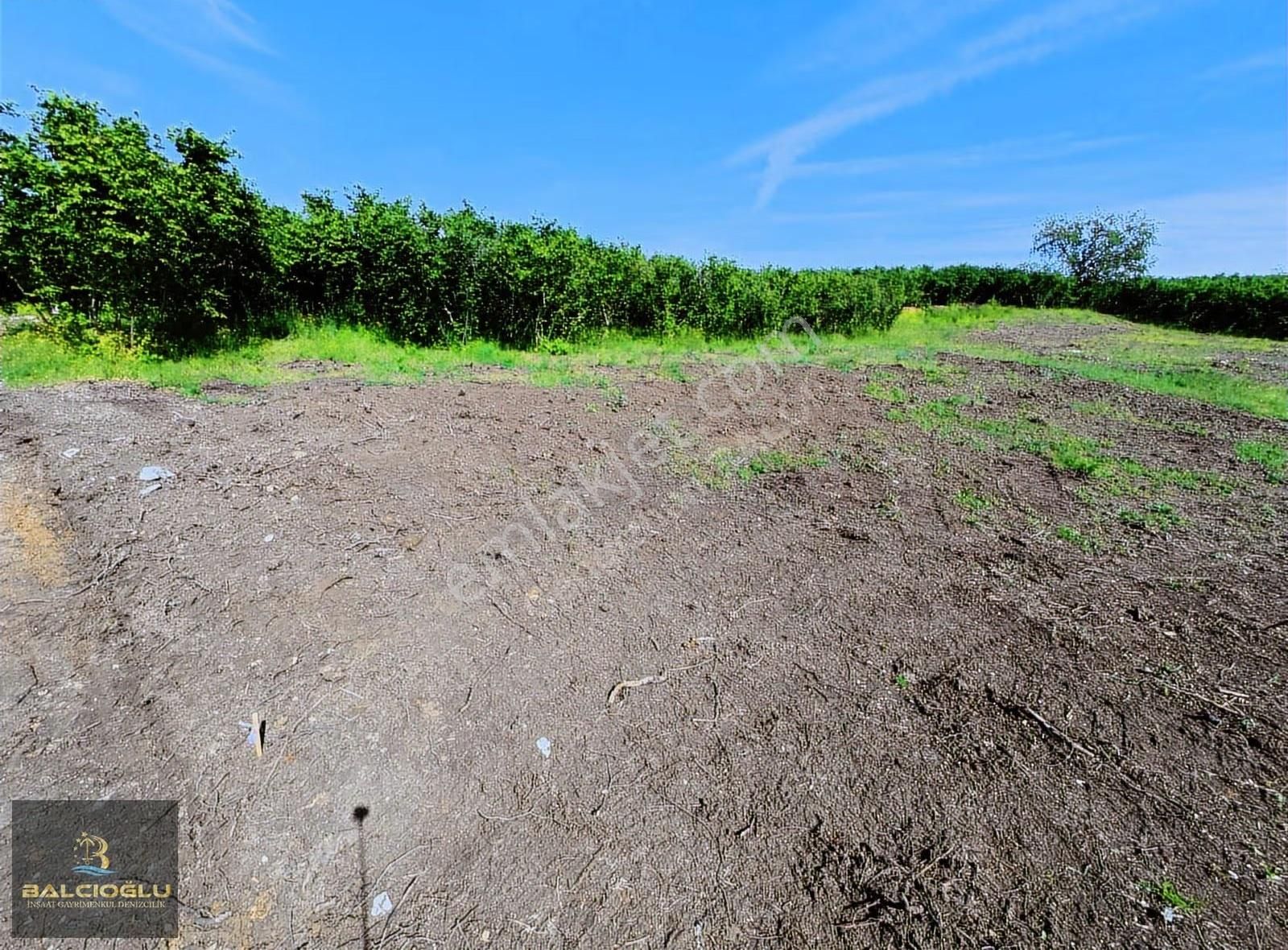 Balcıoğlundan Satılk Merkze 5 Dak Mfs. Deniz Manzrlı İmarlı Arsa - Görsel 29