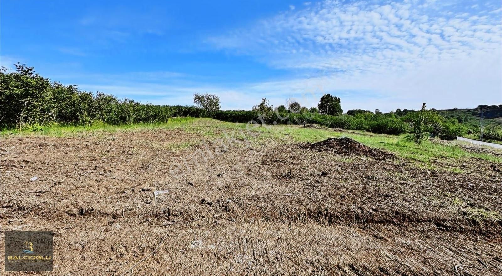 Balcıoğlundan Satılk Merkze 5 Dak Mfs. Deniz Manzrlı İmarlı Arsa
