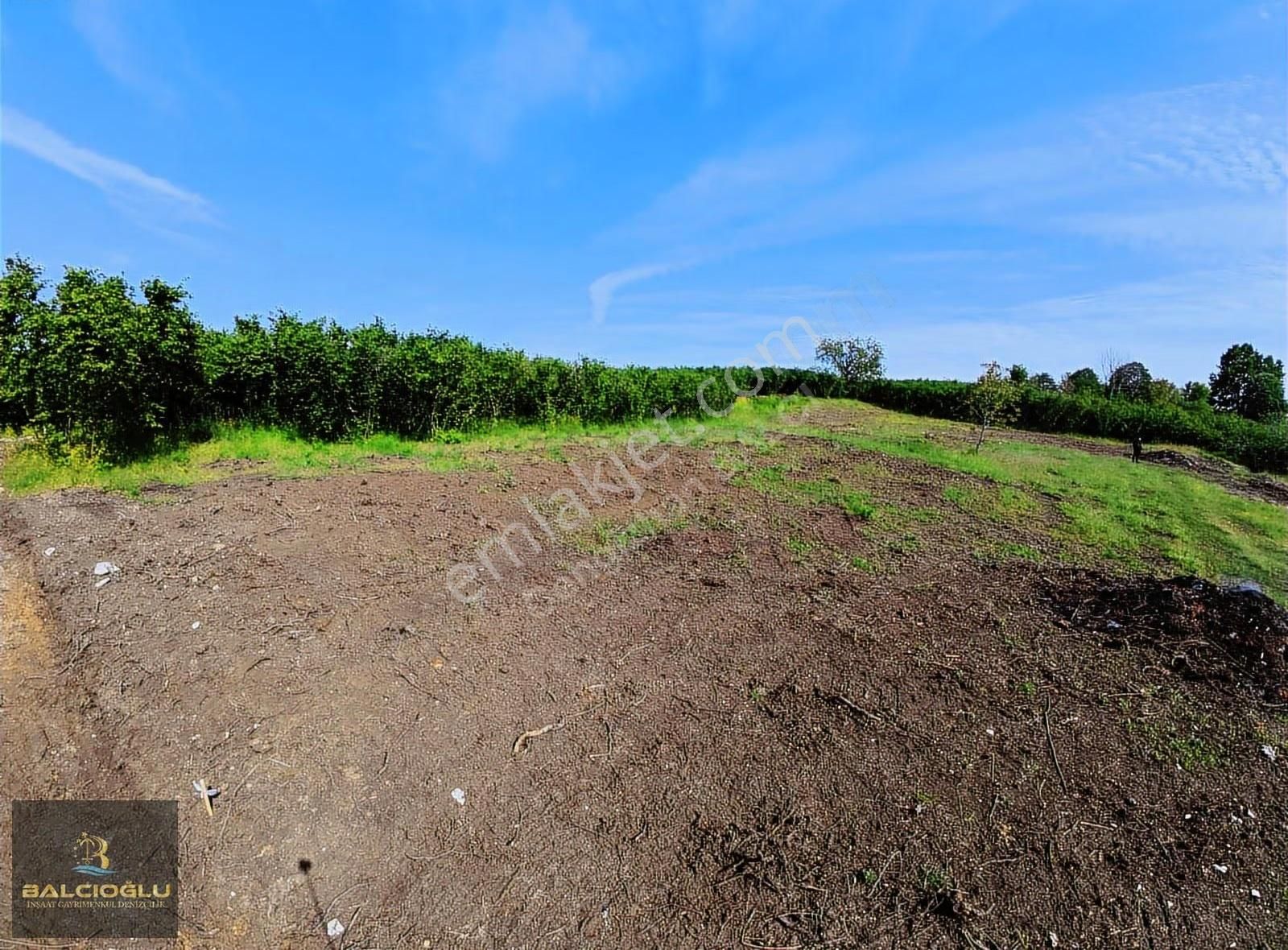 Balcıoğlundan Satılk Merkze 5 Dak Mfs. Deniz Manzrlı İmarlı Arsa - Görsel 18