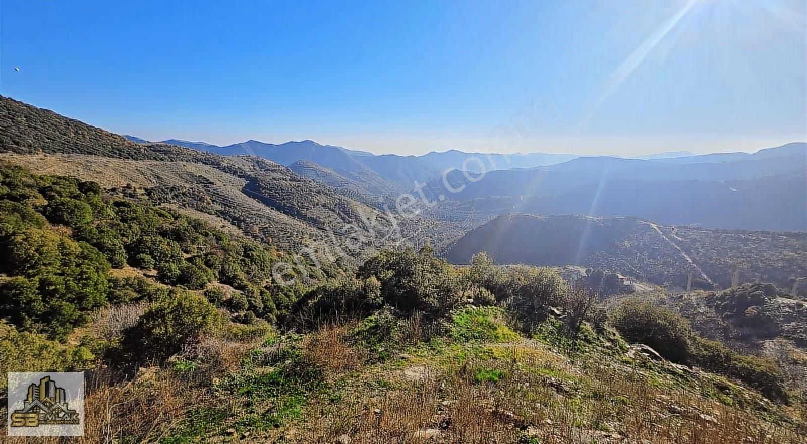 İzmir Tire Sb Emlak'tan Yemişler Mahalesinde Satılık İncirlik - Görsel 10