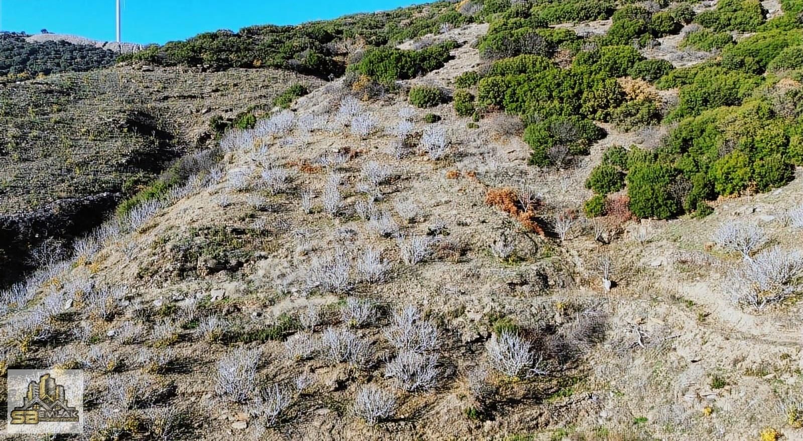 İzmir Tire Sb Emlak'tan Yemişler Mahalesinde Satılık İncirlik - Görsel 6
