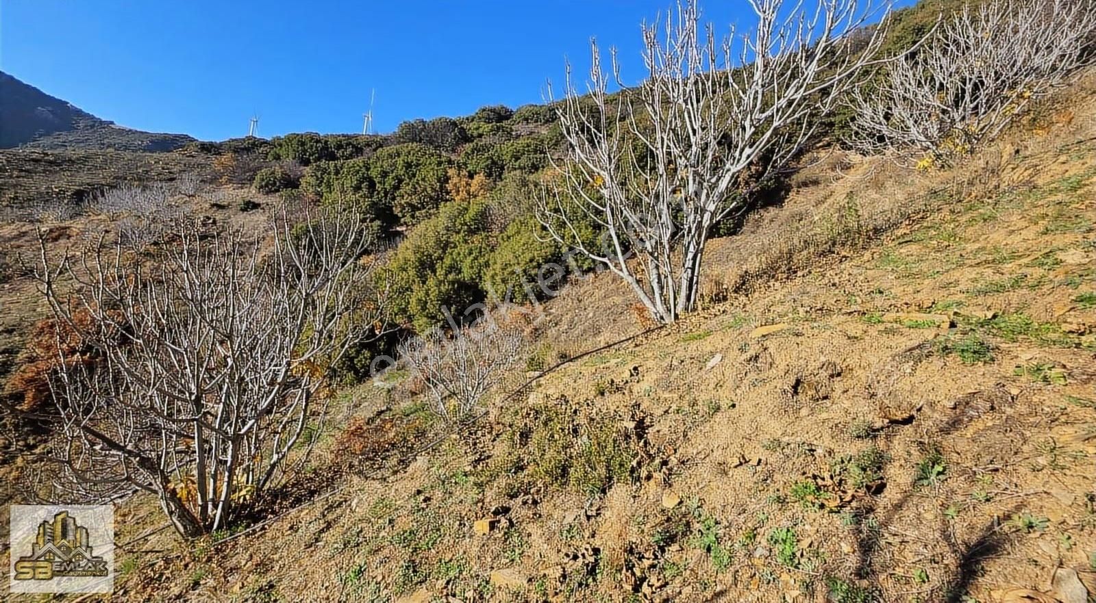 İzmir Tire Sb Emlak'tan Yemişler Mahalesinde Satılık İncirlik - Görsel 5