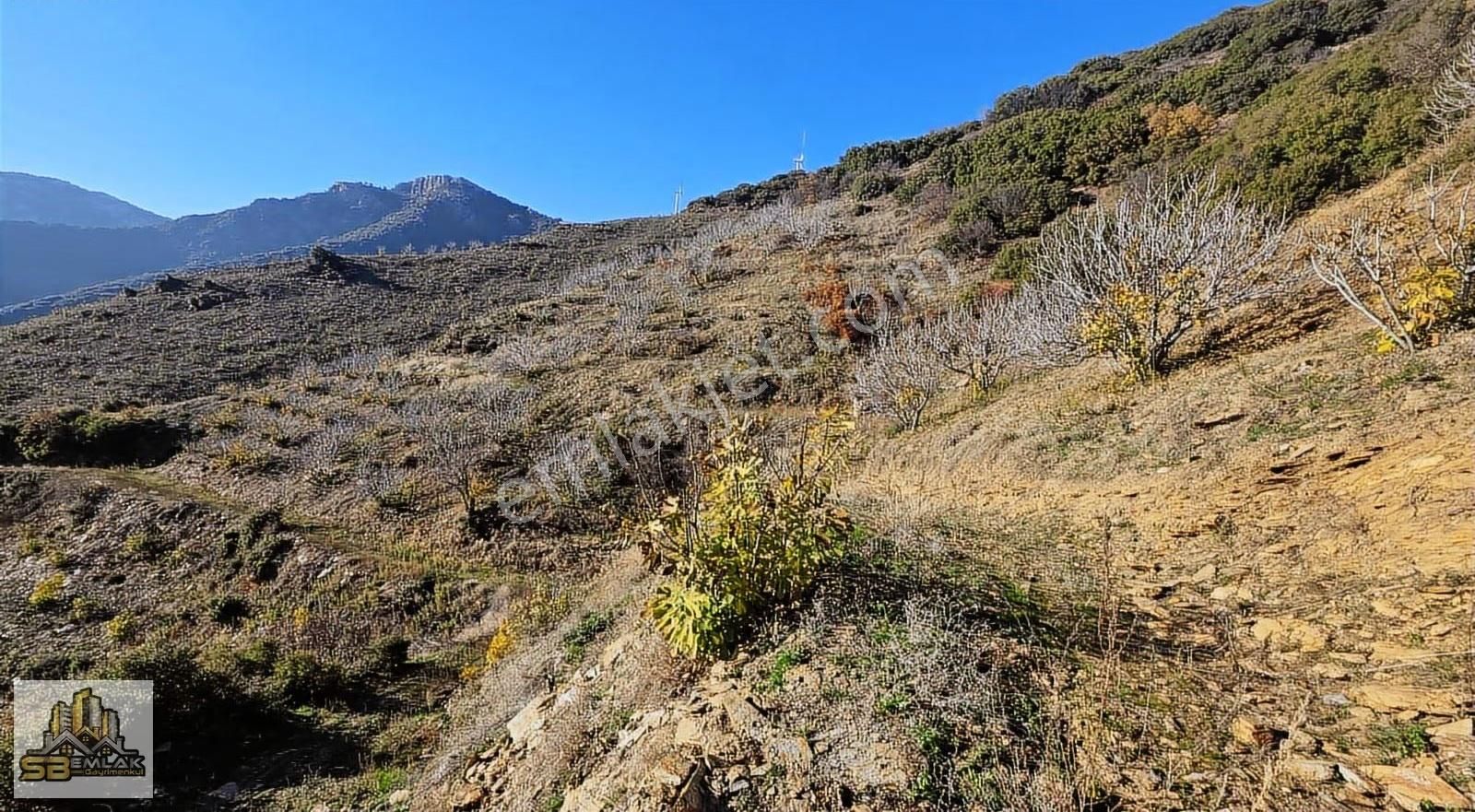 İzmir Tire Sb Emlak'tan Yemişler Mahalesinde Satılık İncirlik - Görsel 3