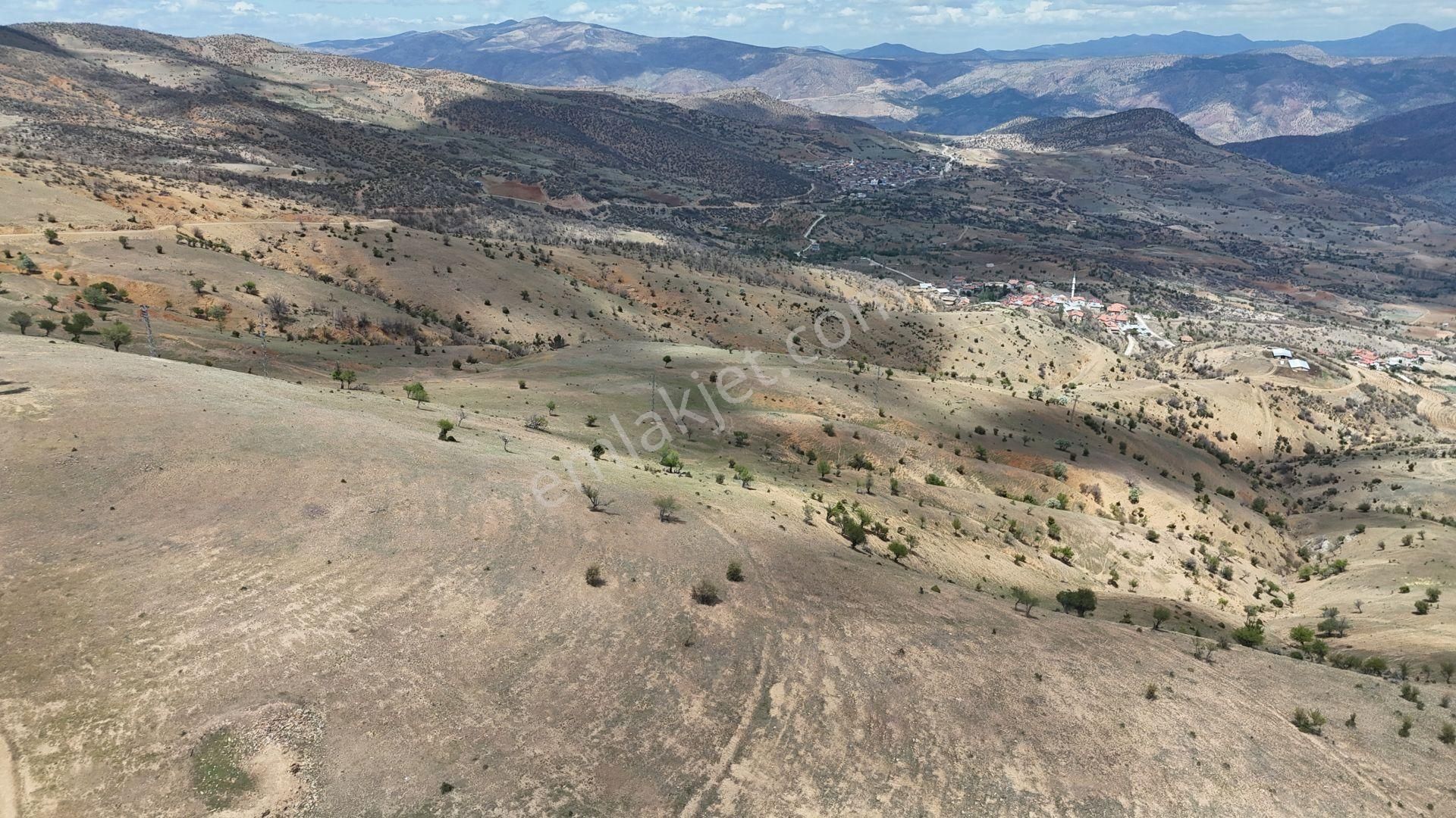 Konya / Hadim / Göynükkışla Mahallesinde 483 M² Müstakil Tapulu Tarla - Görsel 4