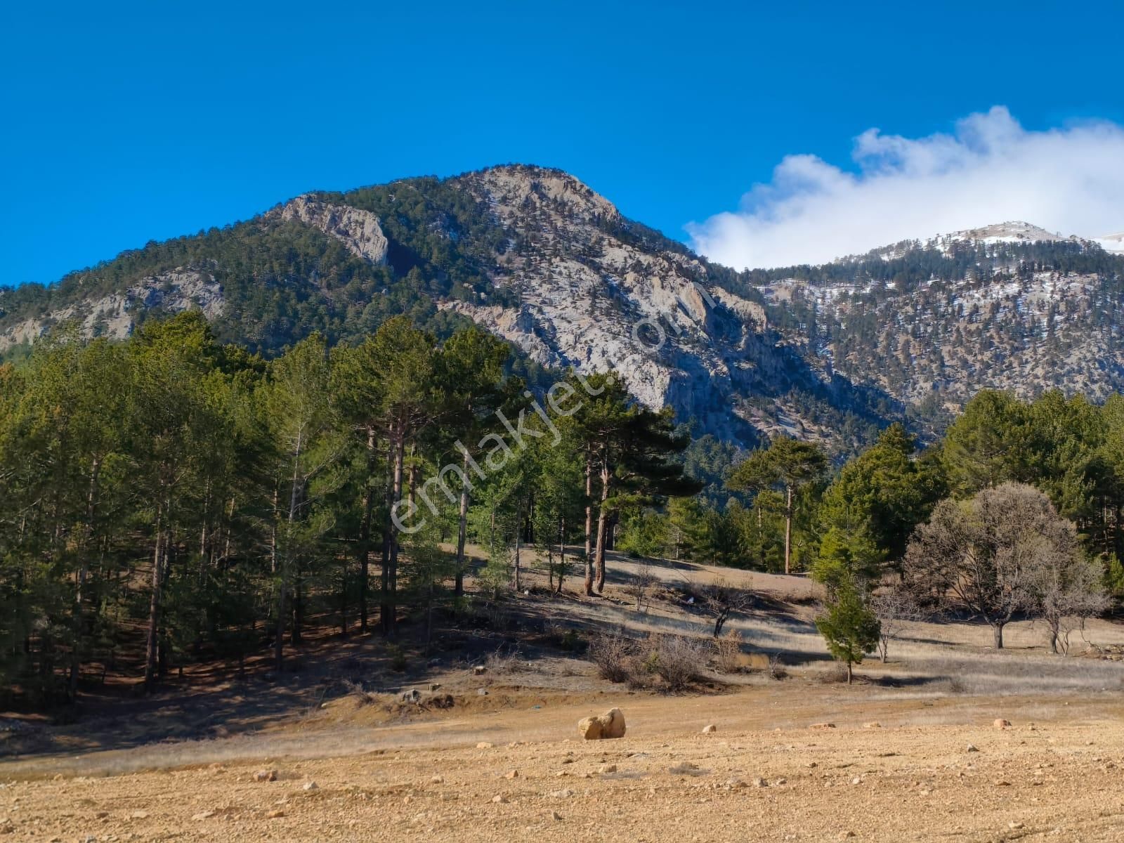 Kar Emlaktan Yenikonacık Körmenlik Mevkiinde 400 M2 Satılık Arsa - Görsel 5