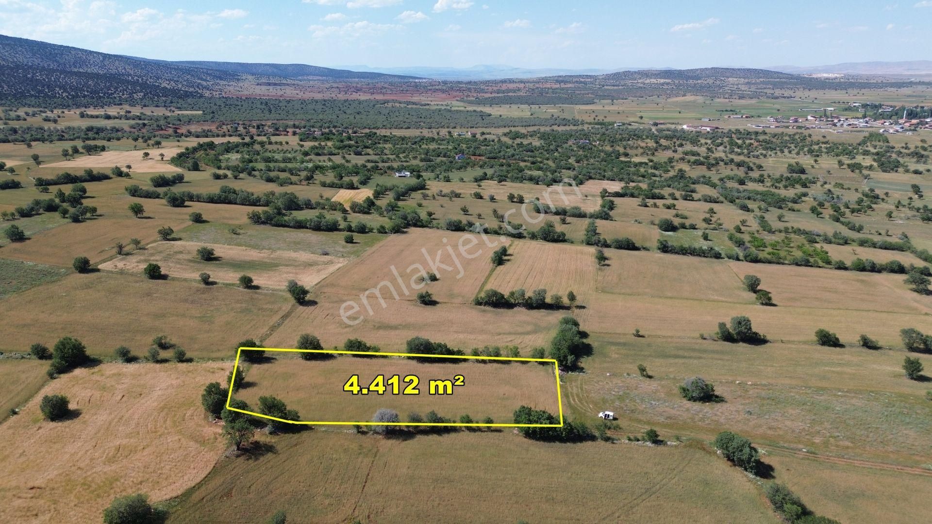 Konya / Akören / Karahüyükte Yeşillikler İçinde 4.412 M² Müstakil Tarla - Görsel 1