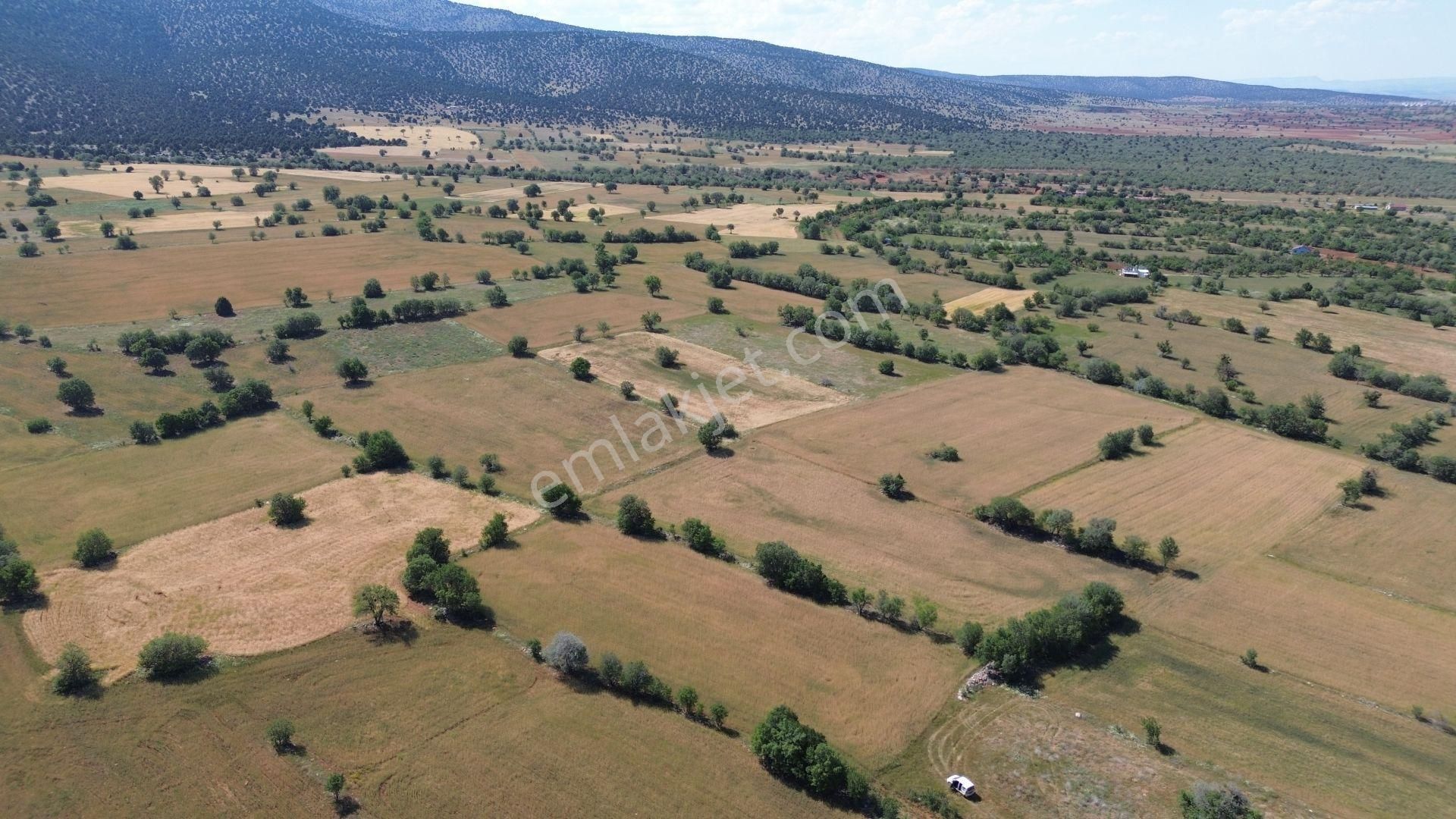 Konya / Akören / Karahüyükte Yeşillikler İçinde 4.412 M² Müstakil Tarla - Görsel 2