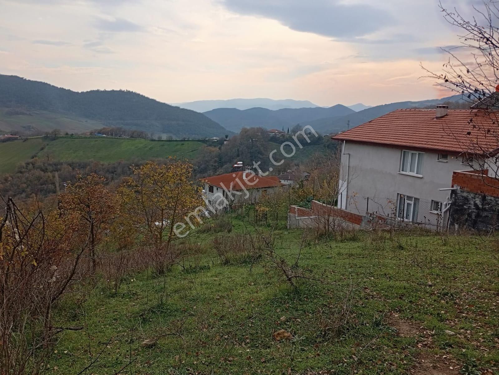 🌿 Sakarya Geyve Akıncılar’da Manzaralı, Yola Cepheli 2 Adet Arsa 🌿 - Görsel 2