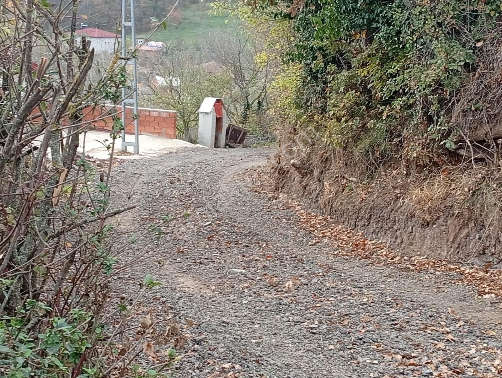 🌿 Sakarya Geyve Akıncılar’da Manzaralı, Yola Cepheli 2 Adet Arsa 🌿 - Görsel 8