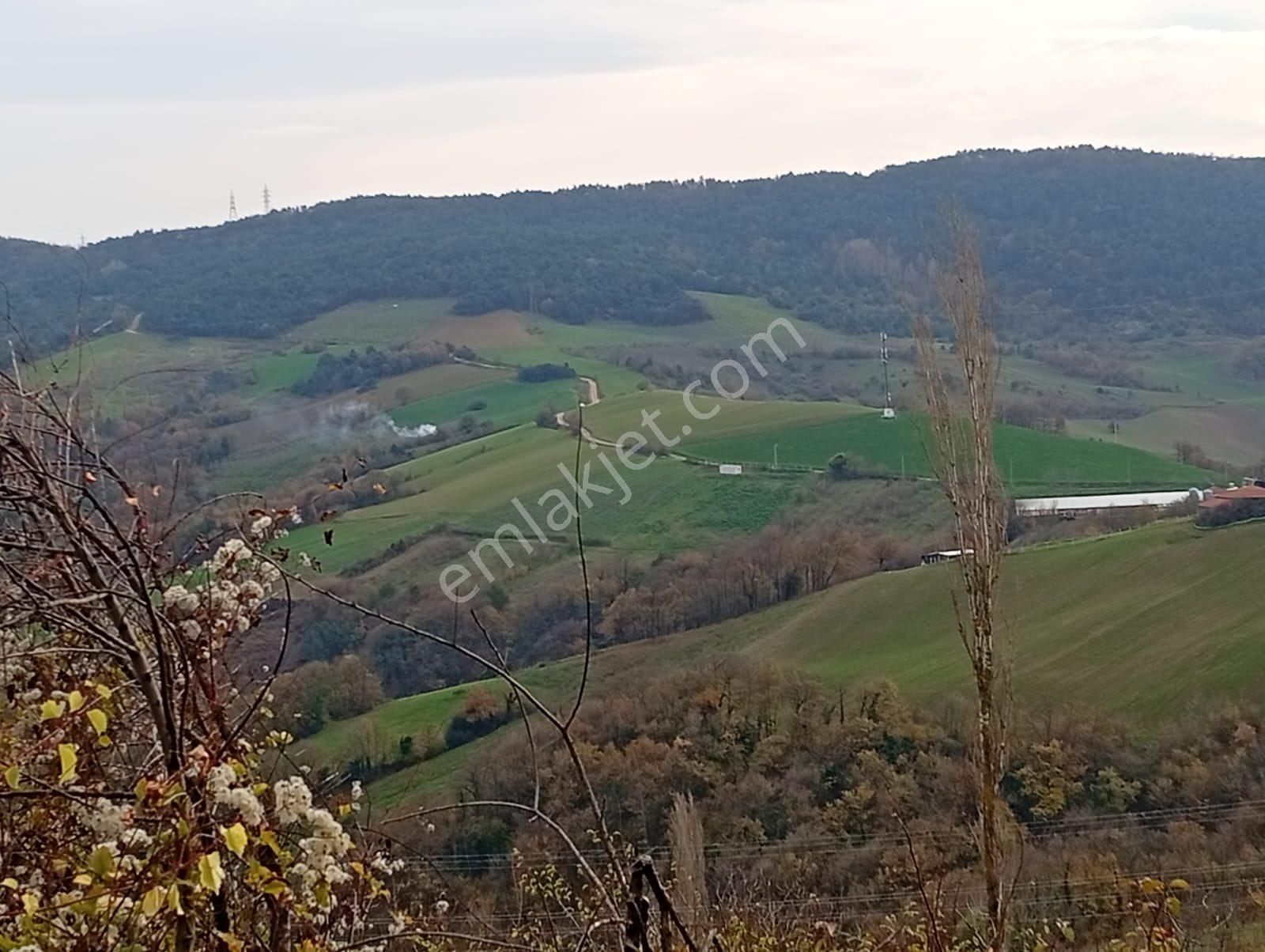 🌿 Sakarya Geyve Akıncılar’da Manzaralı, Yola Cepheli 2 Adet Arsa 🌿 - Görsel 3
