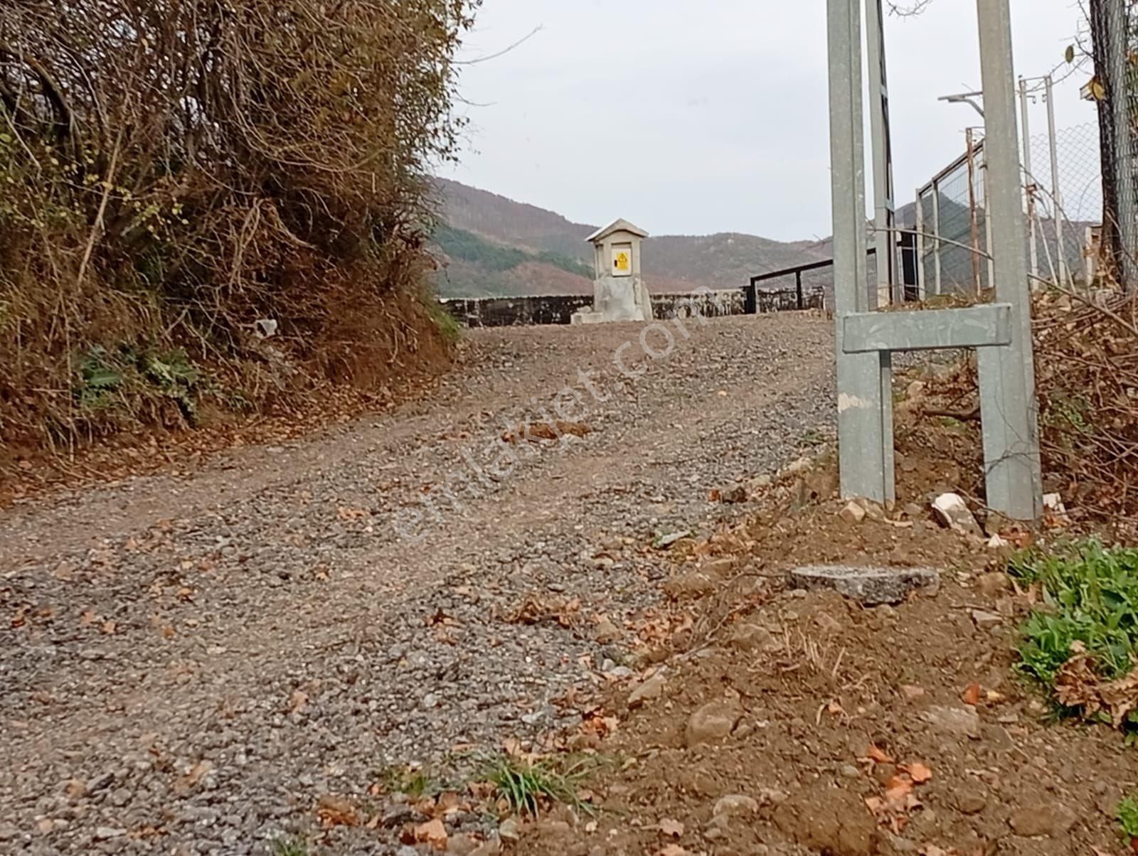 🌿 Sakarya Geyve Akıncılar’da Manzaralı, Yola Cepheli 2 Adet Arsa 🌿 - Görsel 7