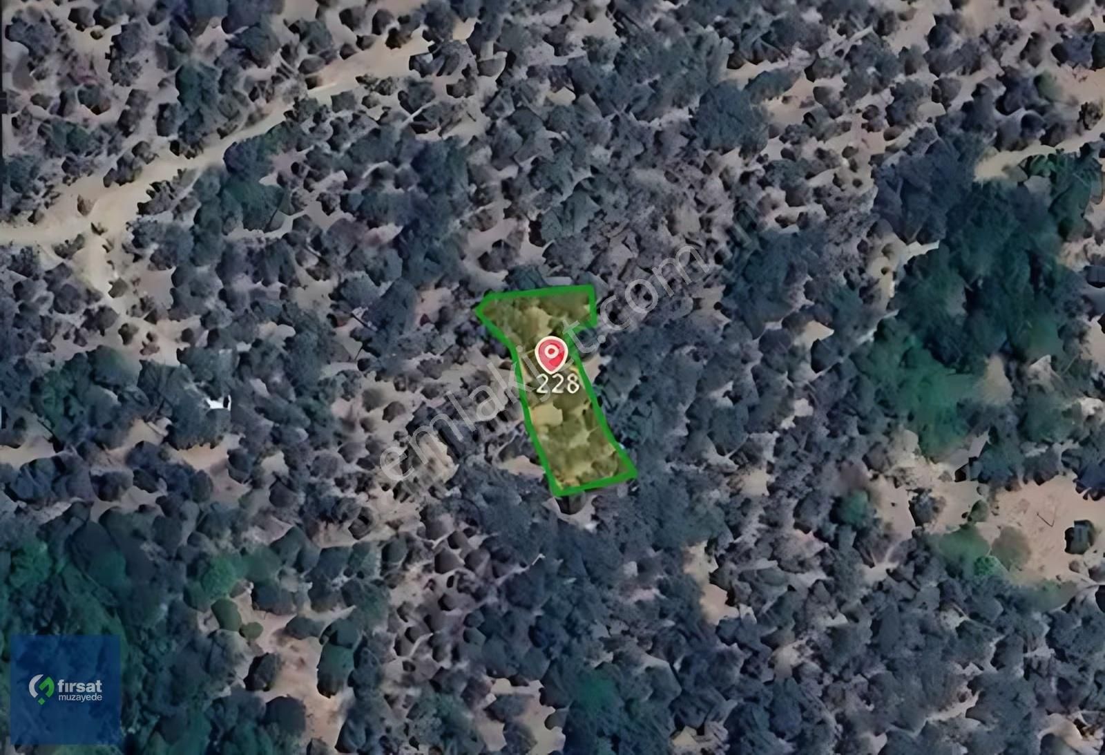 Alırken Kazanmanın Adresi ''fırsat Müzayede'' - Görsel 2