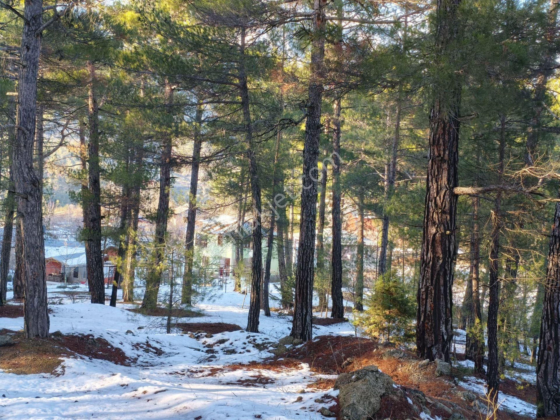 Kar Emlaktan Eskikonacıkta 1 Dönüm Satılık Arsa