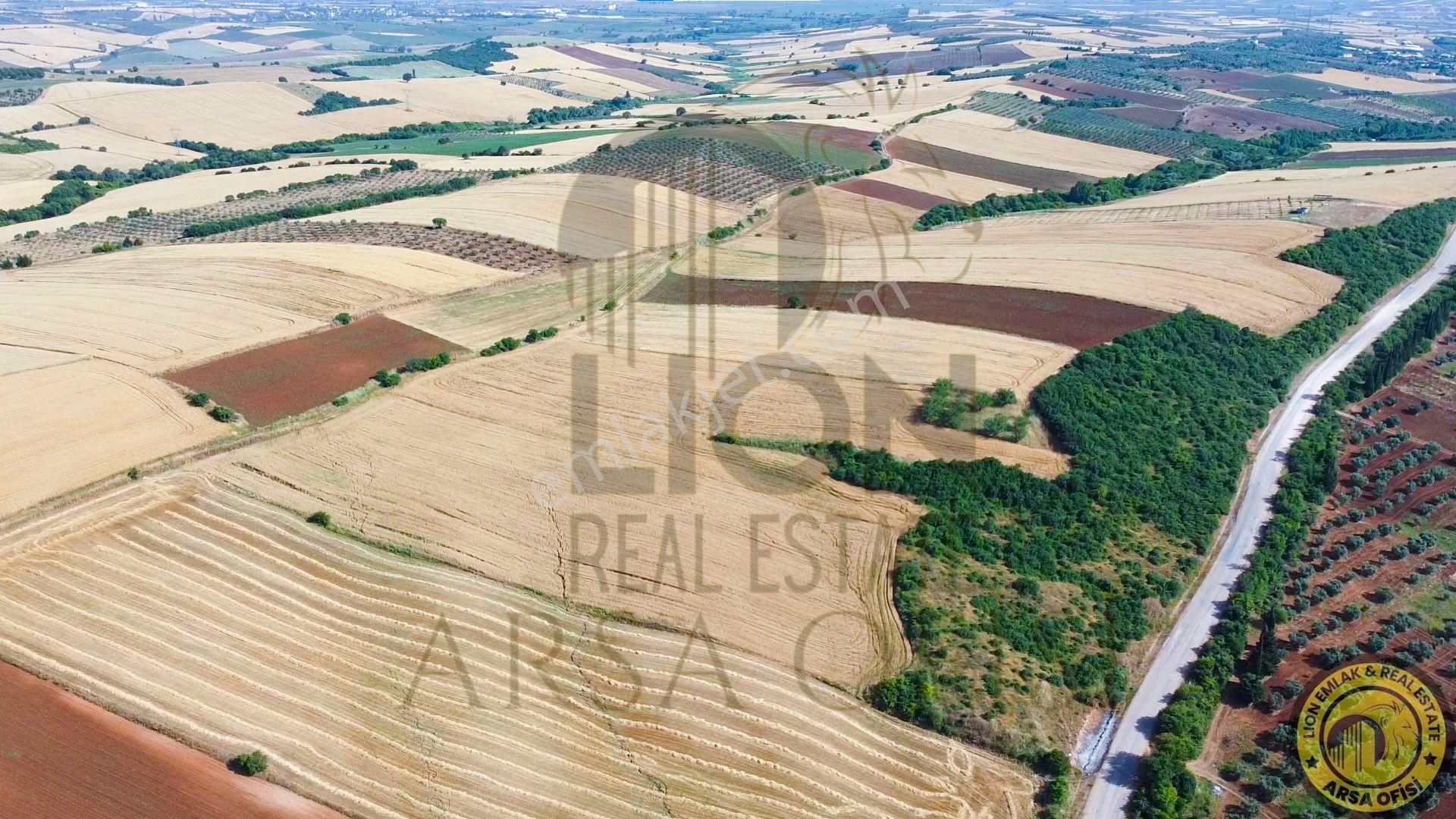 🟨⬛lıon Emlak'tan Bandırma Yeniyenice Mahallesinde Yola Cephe Fırsat Tarla⬛🟨 - Görsel 11