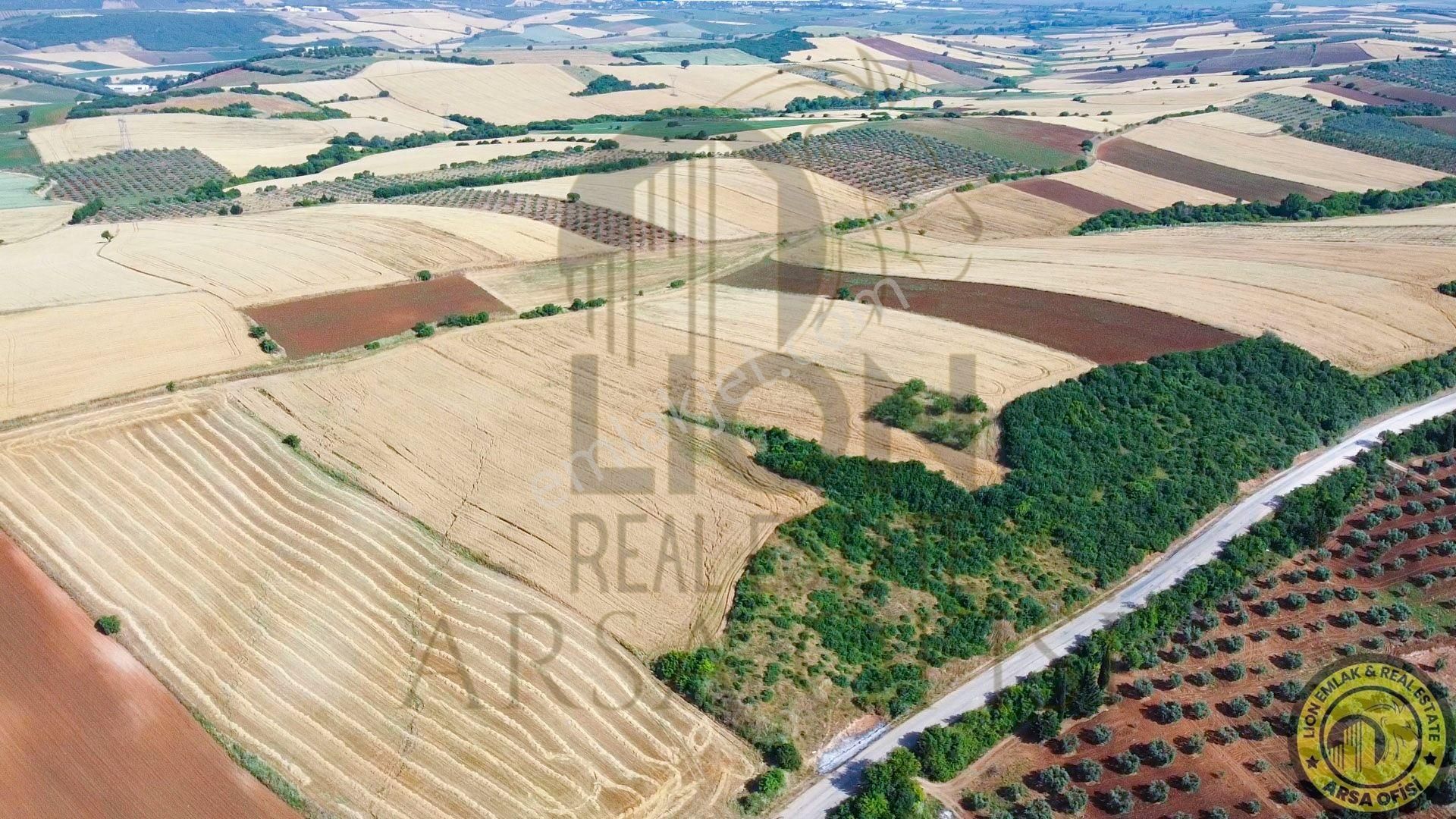 🟨⬛lıon Emlak'tan Bandırma Yeniyenice Mahallesinde Yola Cephe Fırsat Tarla⬛🟨 - Görsel 21