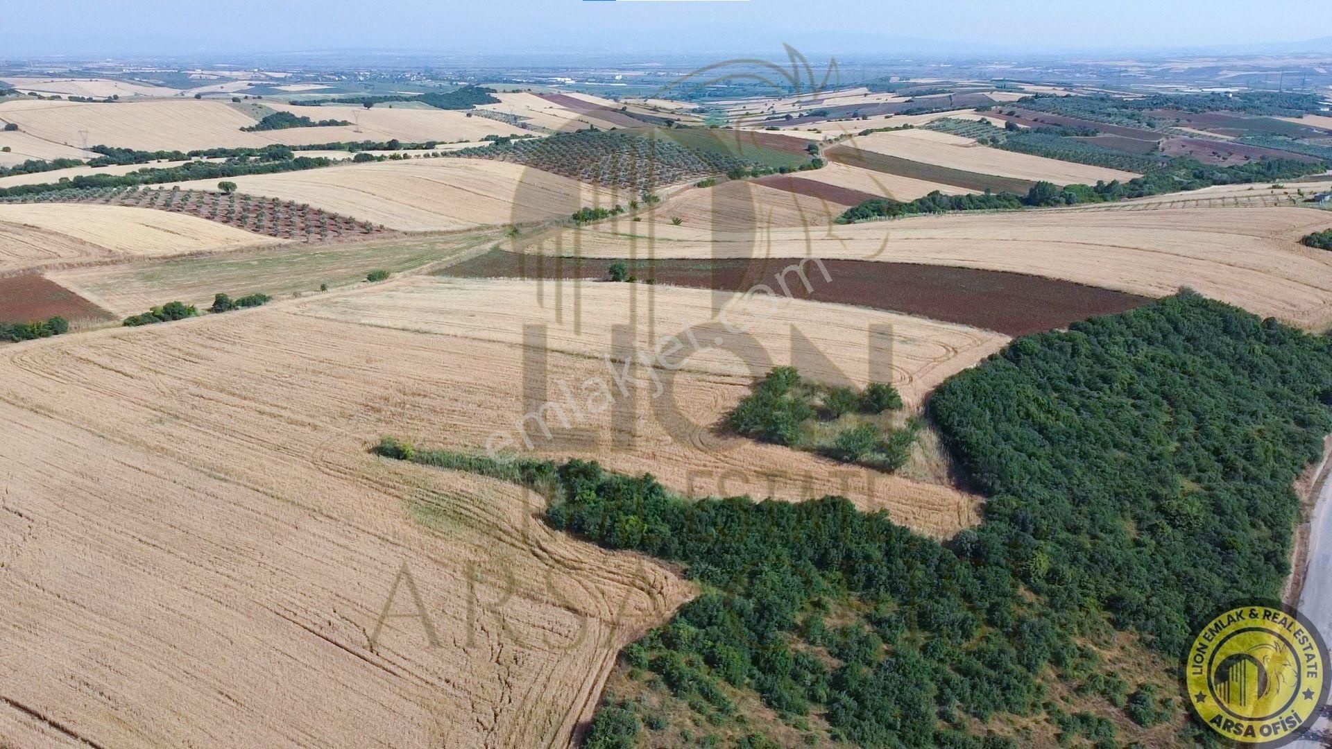 🟨⬛lıon Emlak'tan Bandırma Yeniyenice Mahallesinde Yola Cephe Fırsat Tarla⬛🟨 - Görsel 5