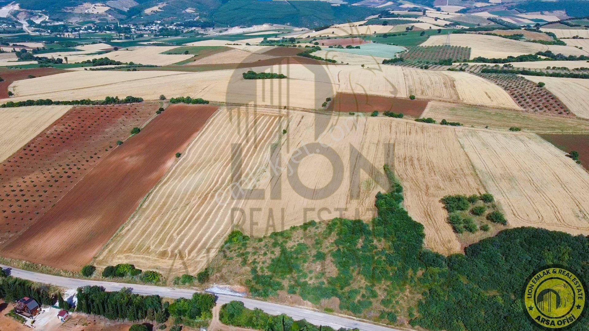 🟨⬛lıon Emlak'tan Bandırma Yeniyenice Mahallesinde Yola Cephe Fırsat Tarla⬛🟨 - Görsel 20