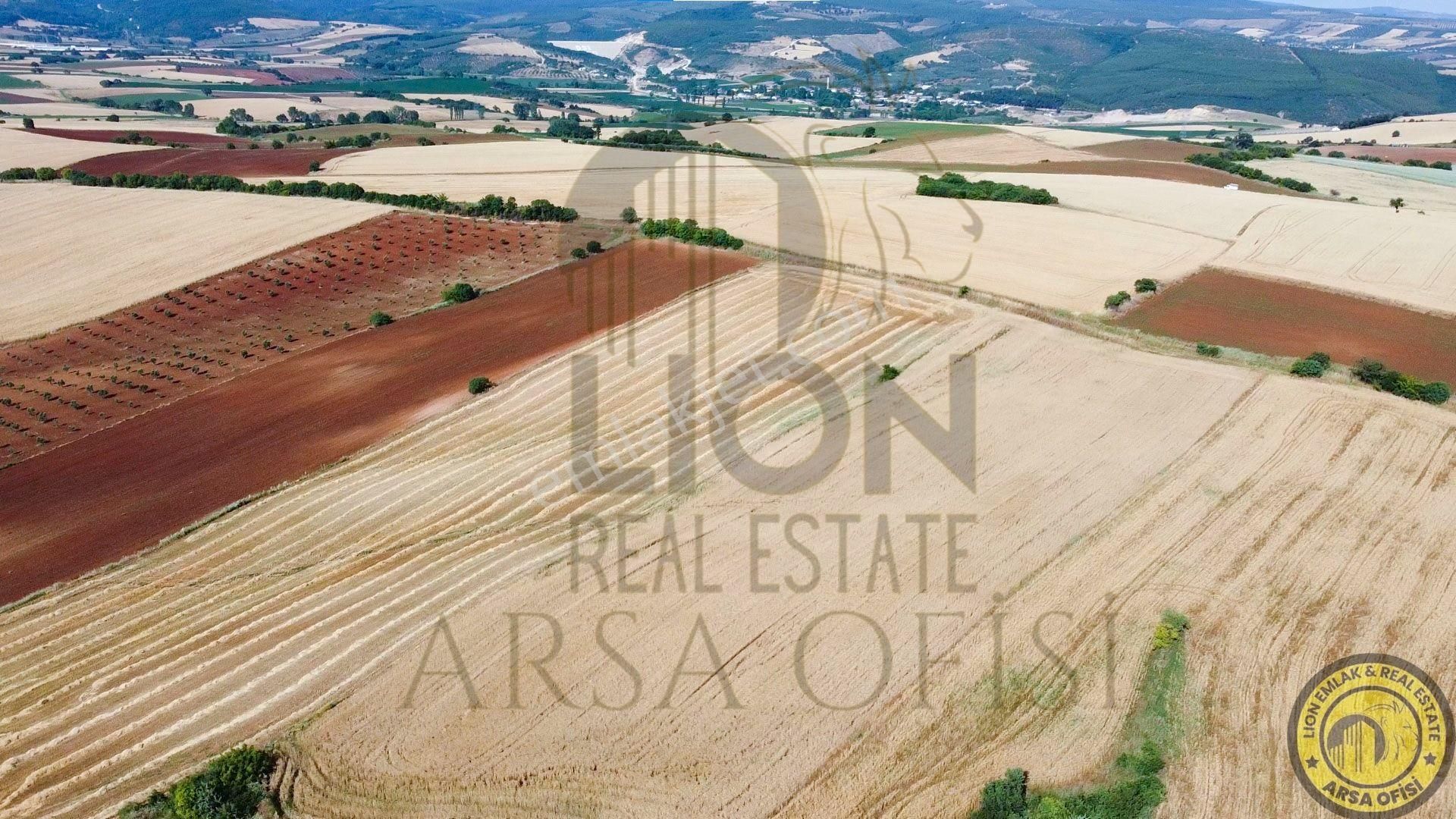 🟨⬛lıon Emlak'tan Bandırma Yeniyenice Mahallesinde Yola Cephe Fırsat Tarla⬛🟨 - Görsel 7