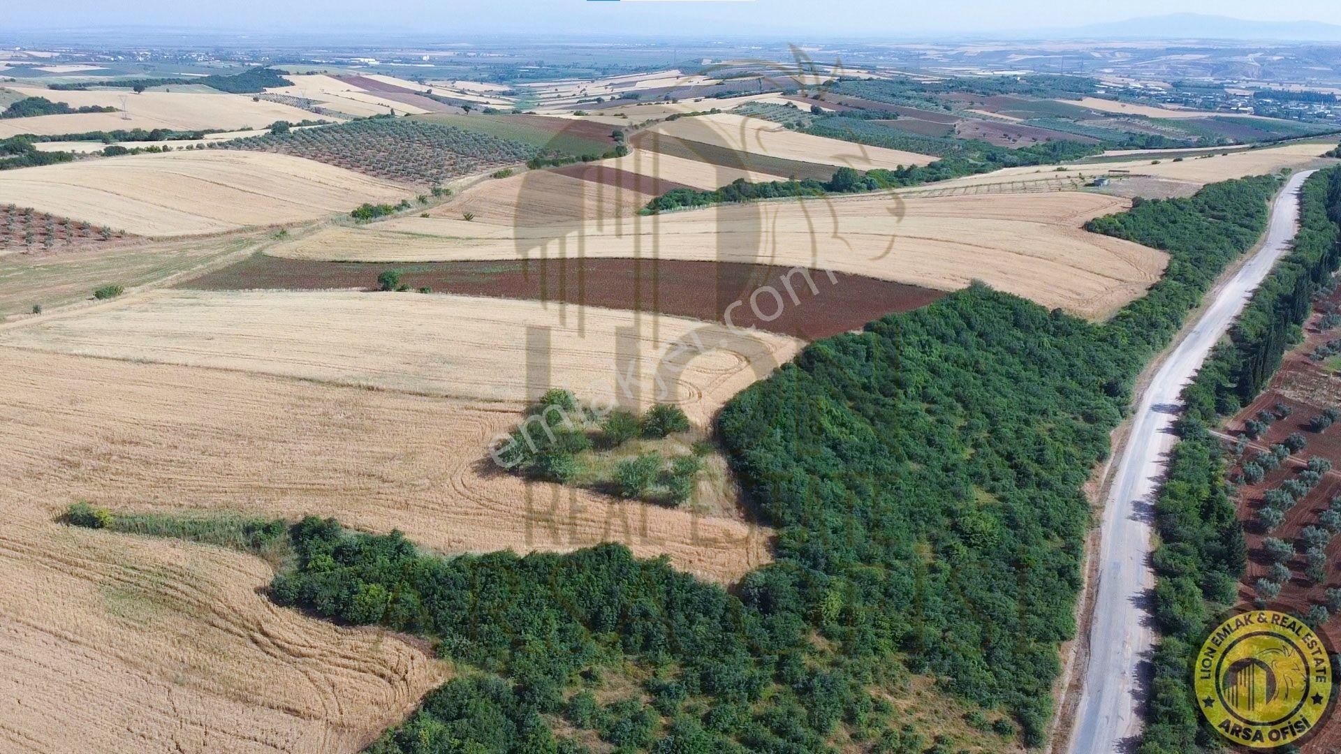 🟨⬛lıon Emlak'tan Bandırma Yeniyenice Mahallesinde Yola Cephe Fırsat Tarla⬛🟨 - Görsel 15