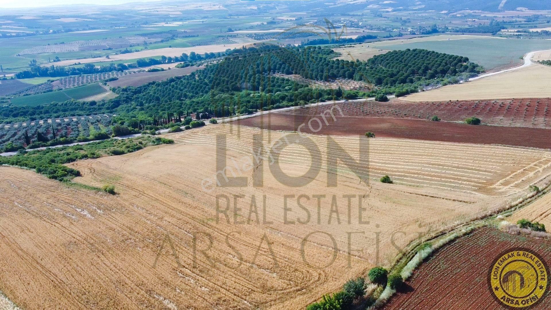 🟨⬛lıon Emlak'tan Bandırma Yeniyenice Mahallesinde Yola Cephe Fırsat Tarla⬛🟨 - Görsel 9