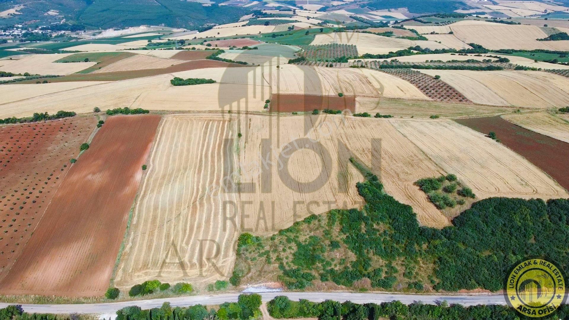 🟨⬛lıon Emlak'tan Bandırma Yeniyenice Mahallesinde Yola Cephe Fırsat Tarla⬛🟨 - Görsel 17