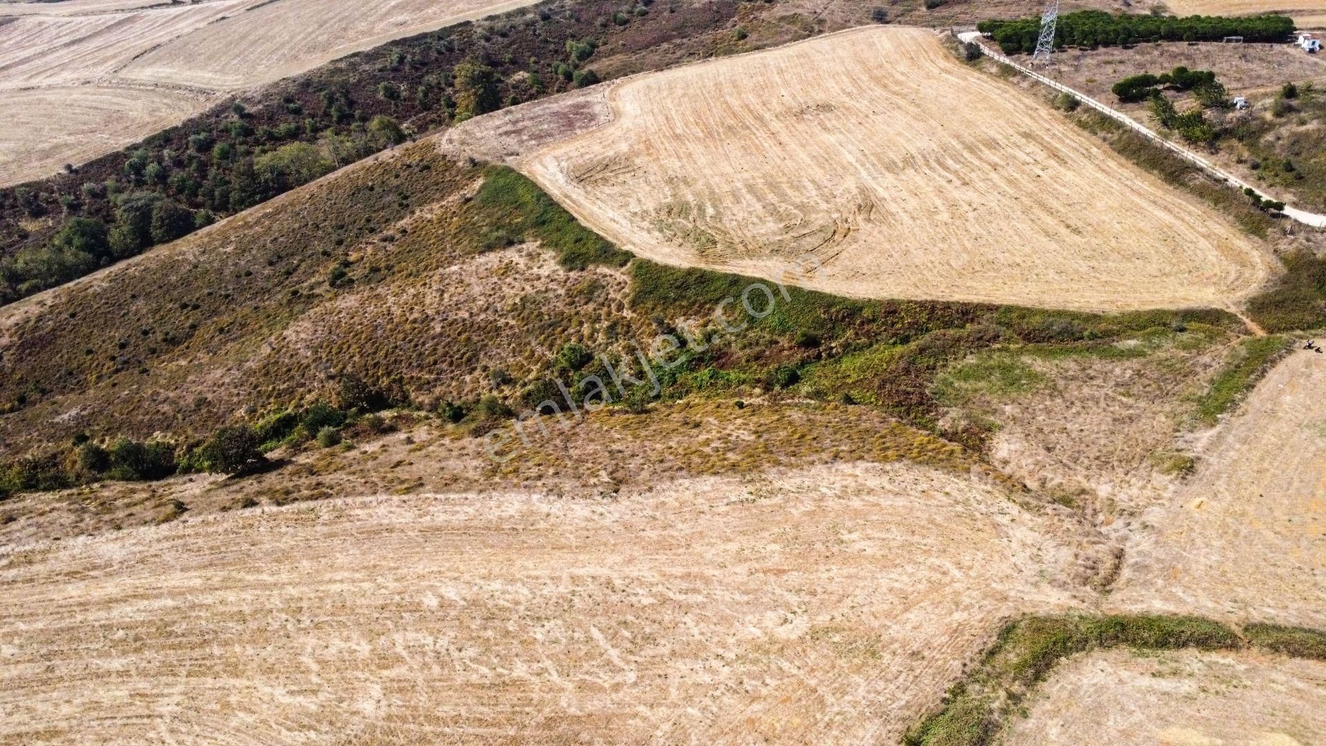 🟨⬛lıon Emlak'tan Bandırma Erikli Mahallesinde Harika Konumda Yatırımlık Harika Fırsat Arazi⬛🟨 - Görsel 7