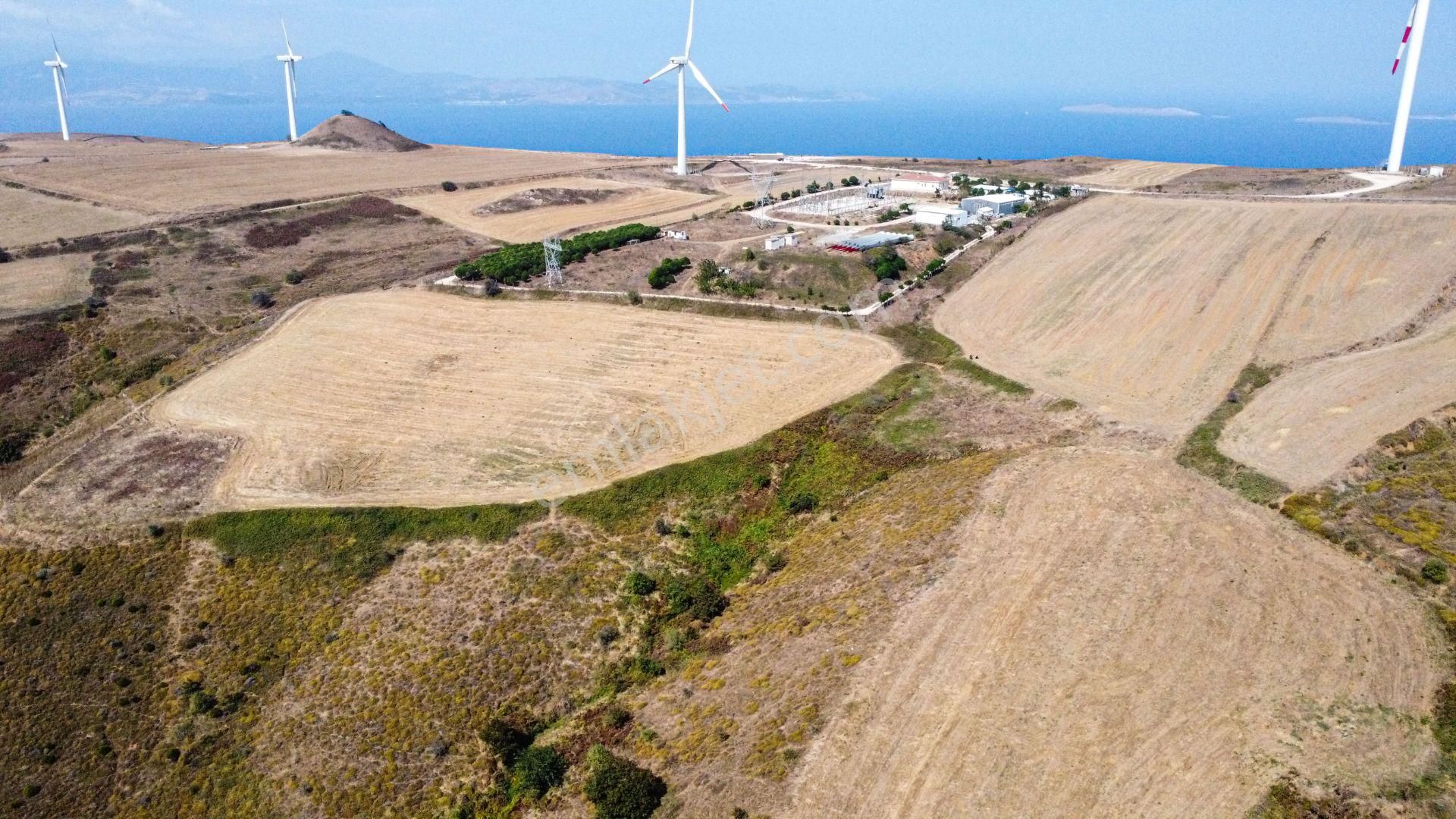 🟨⬛lıon Emlak'tan Bandırma Erikli Mahallesinde Harika Konumda Yatırımlık Harika Fırsat Arazi⬛🟨 - Görsel 10